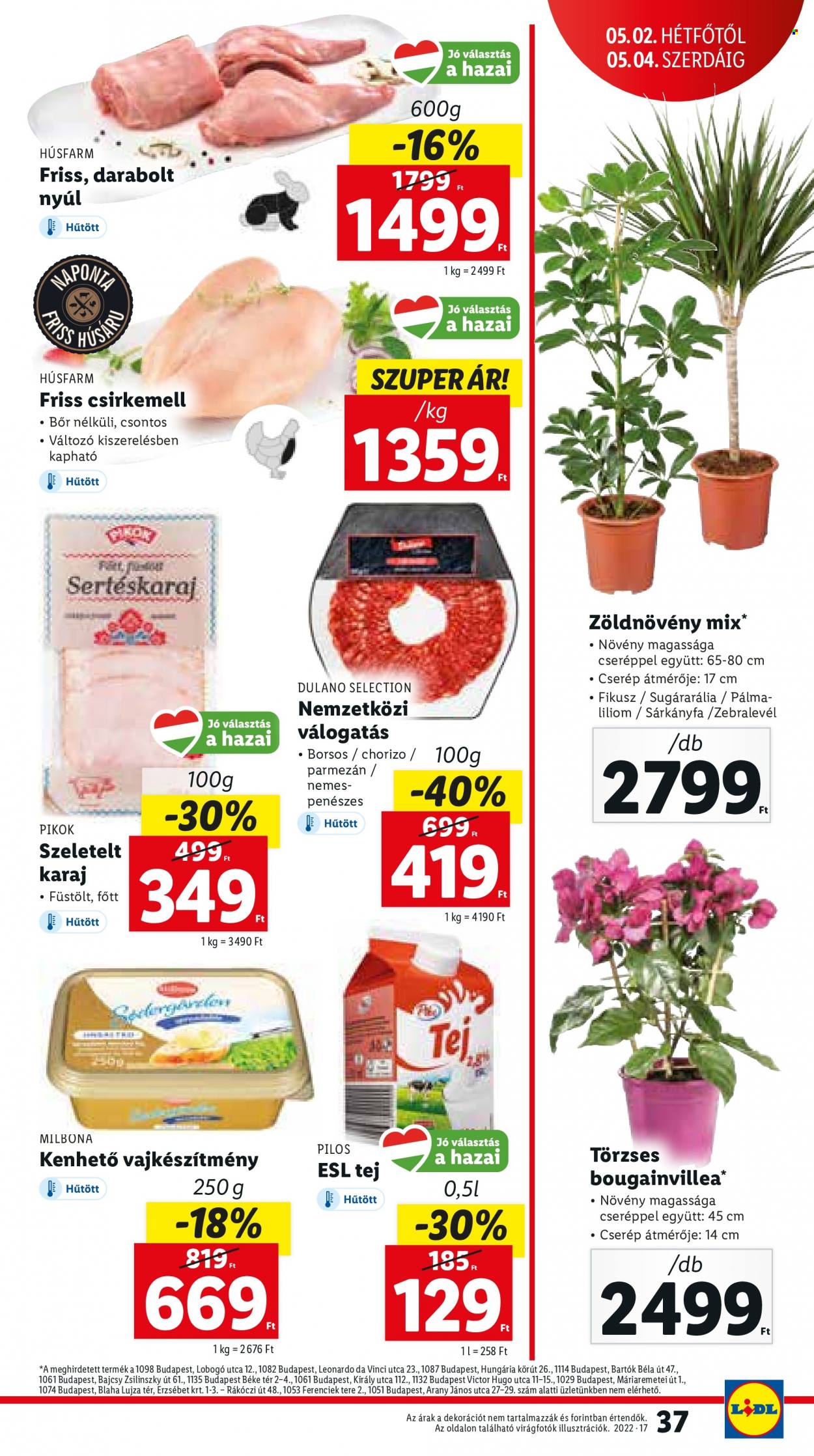 Lidl akciós újságok - 2022.04.28 - 2022.05.04. Oldal 37
