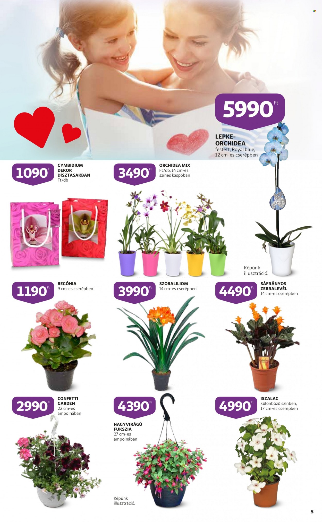 Auchan akciós újságok - 2022.04.28 - 2022.05.04. Oldal 5