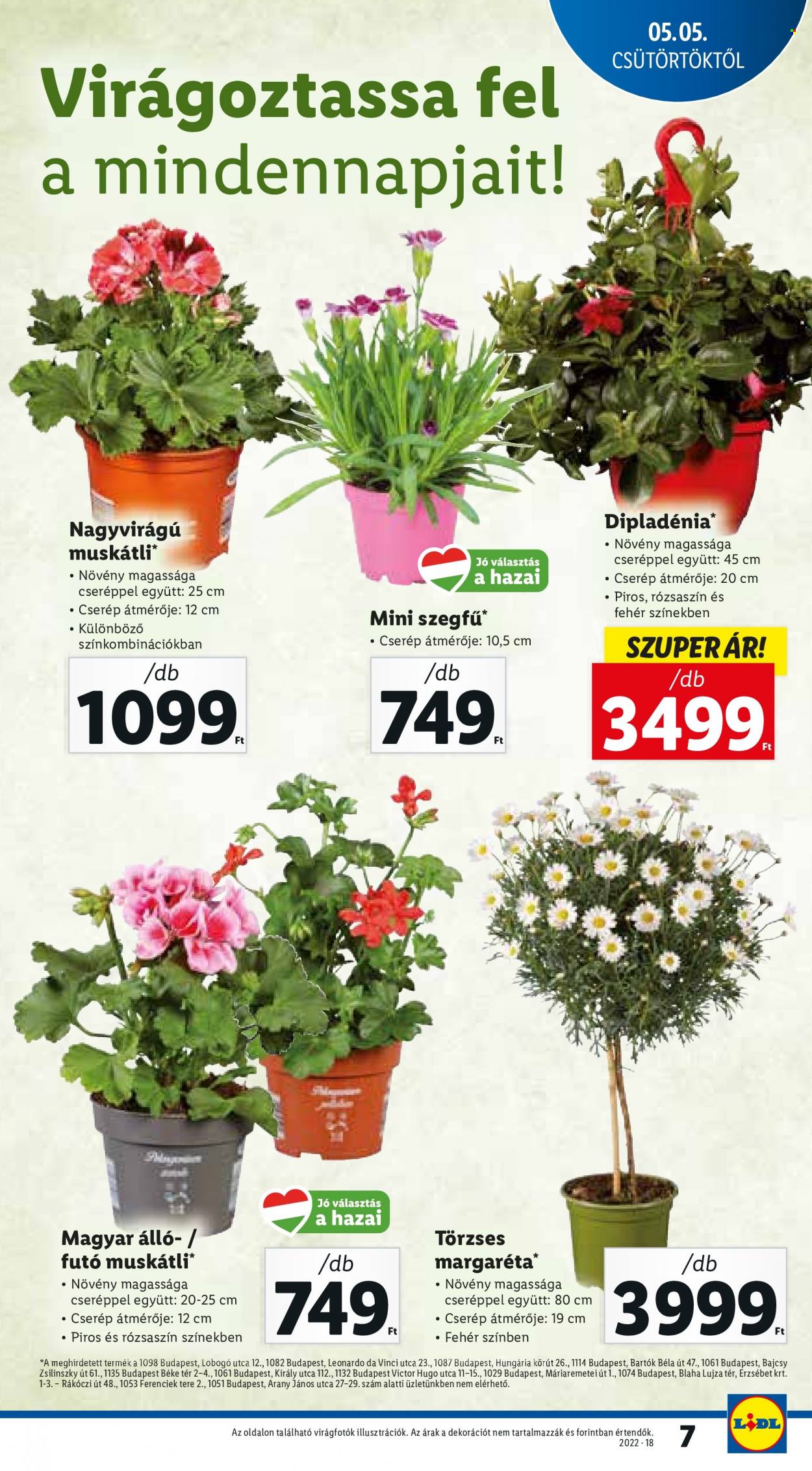 Lidl akciós újságok - 2022.05.05 - 2022.05.11. Oldal 7