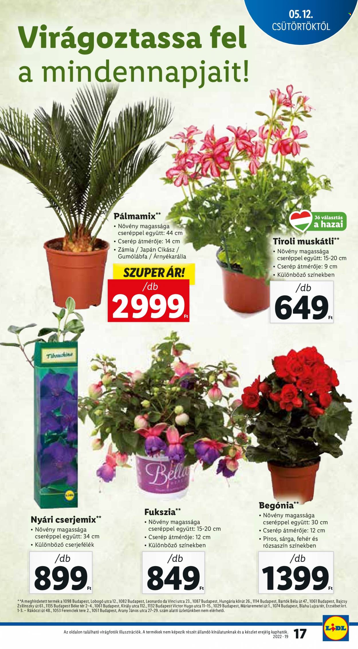 Lidl akciós újságok - 2022.05.12 - 2022.05.18. Oldal 17