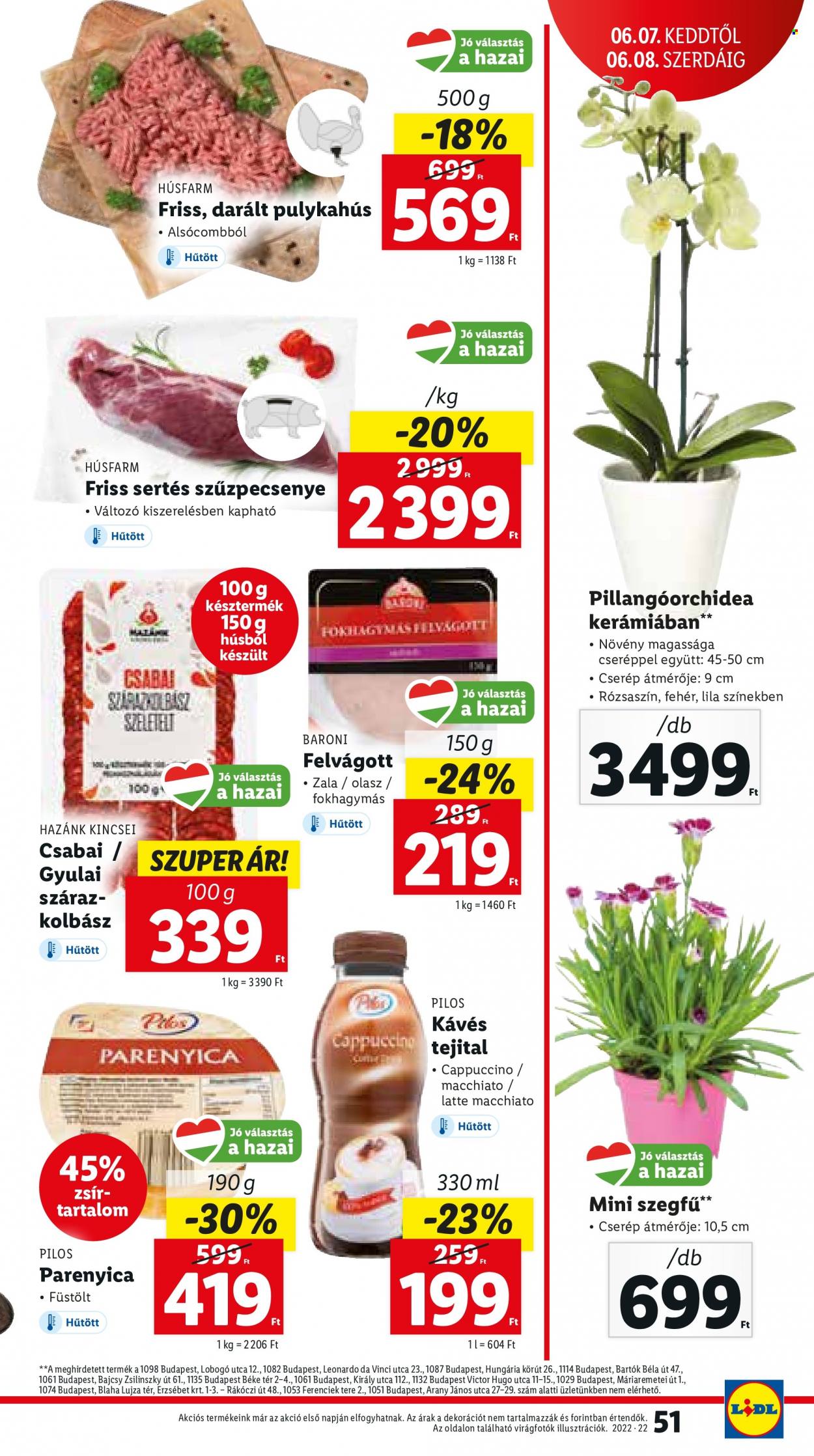 Lidl akciós újságok - 2022.06.02 - 2022.06.08. Oldal 51