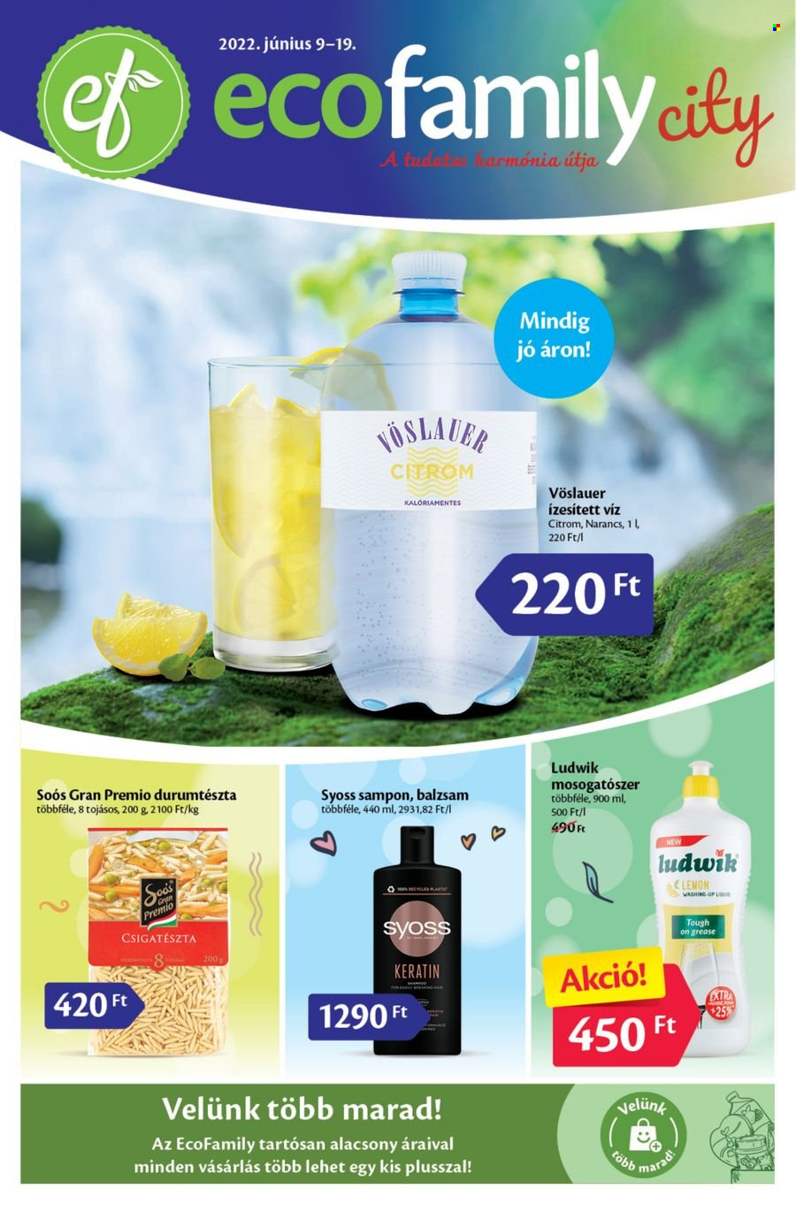 EcoFamily akciós újságok - 2022.06.09 - 2022.06.19. Oldal 1