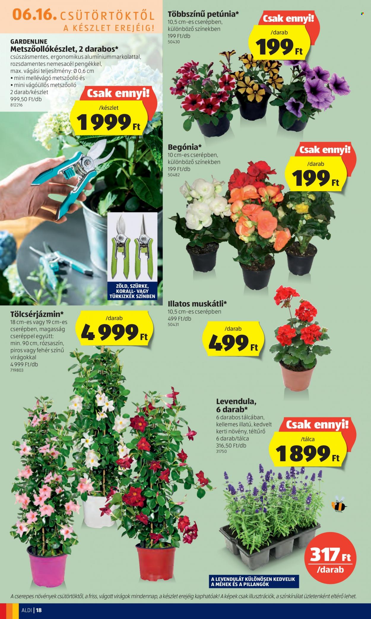 Aldi akciós újságok - 2022.06.16 - 2022.06.22. Oldal 18