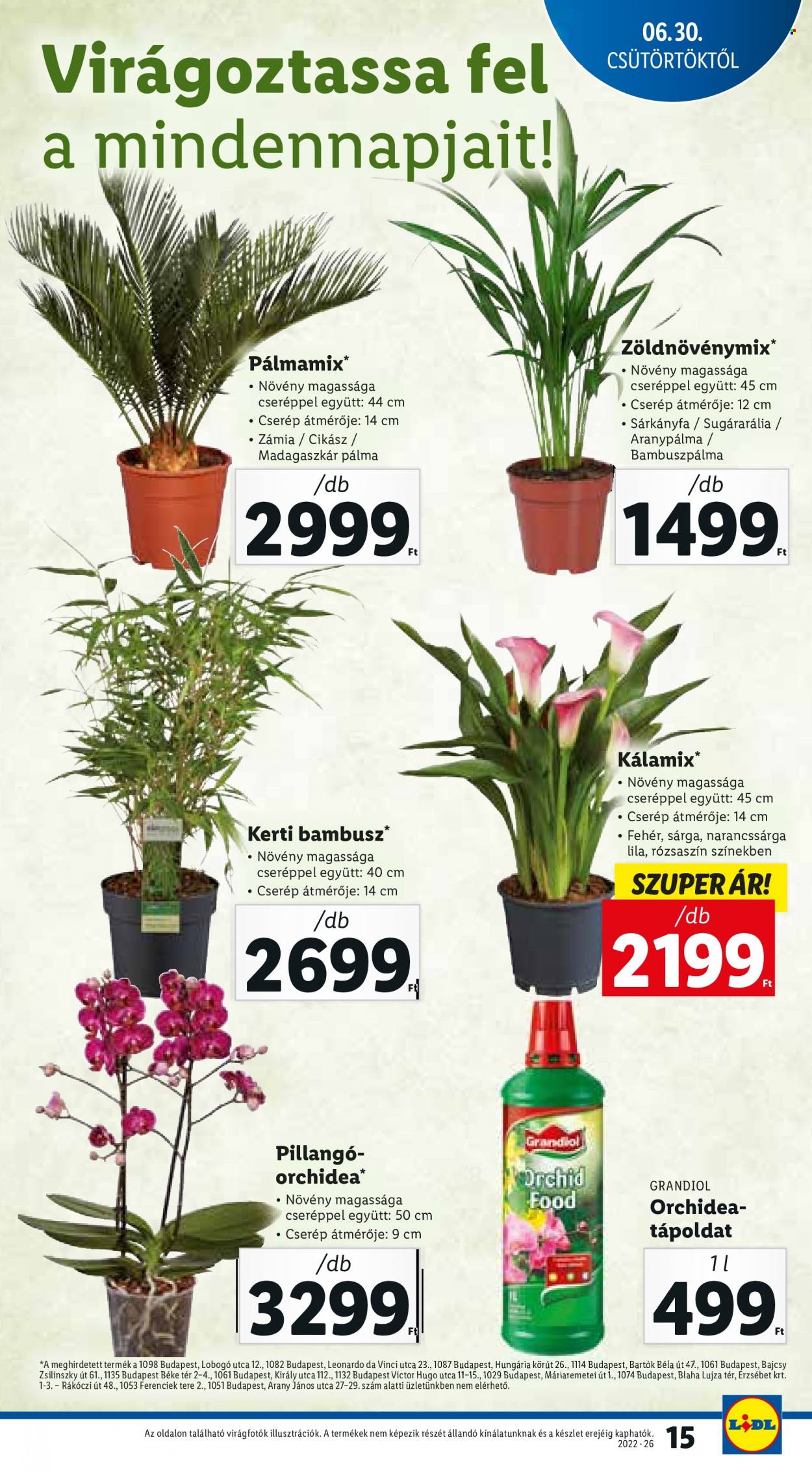 Lidl akciós újságok - 2022.06.30 - 2022.07.06. Oldal 15