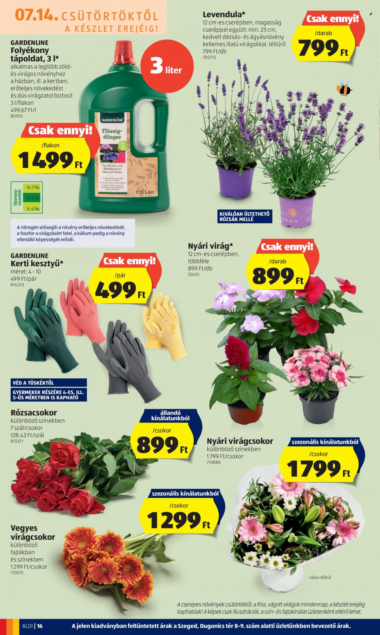 Aldi akciós újságok - 2022.07.14 - 2022.07.20. Oldal 16