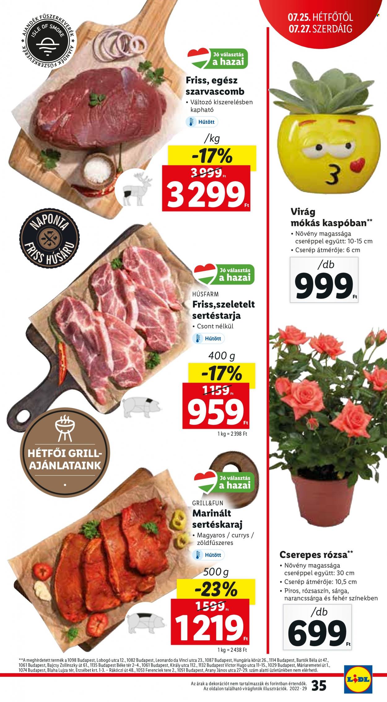 Lidl akciós újságok - 2022.07.21 - 2022.07.27. Oldal 35