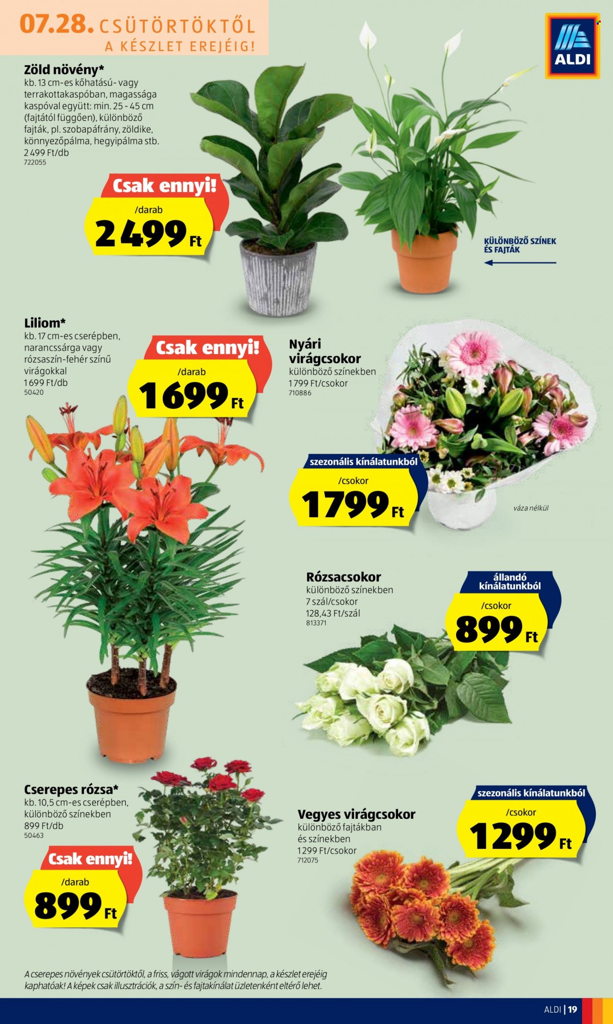Aldi akciós újságok - 2022.07.28 - 2022.08.03. Oldal 19