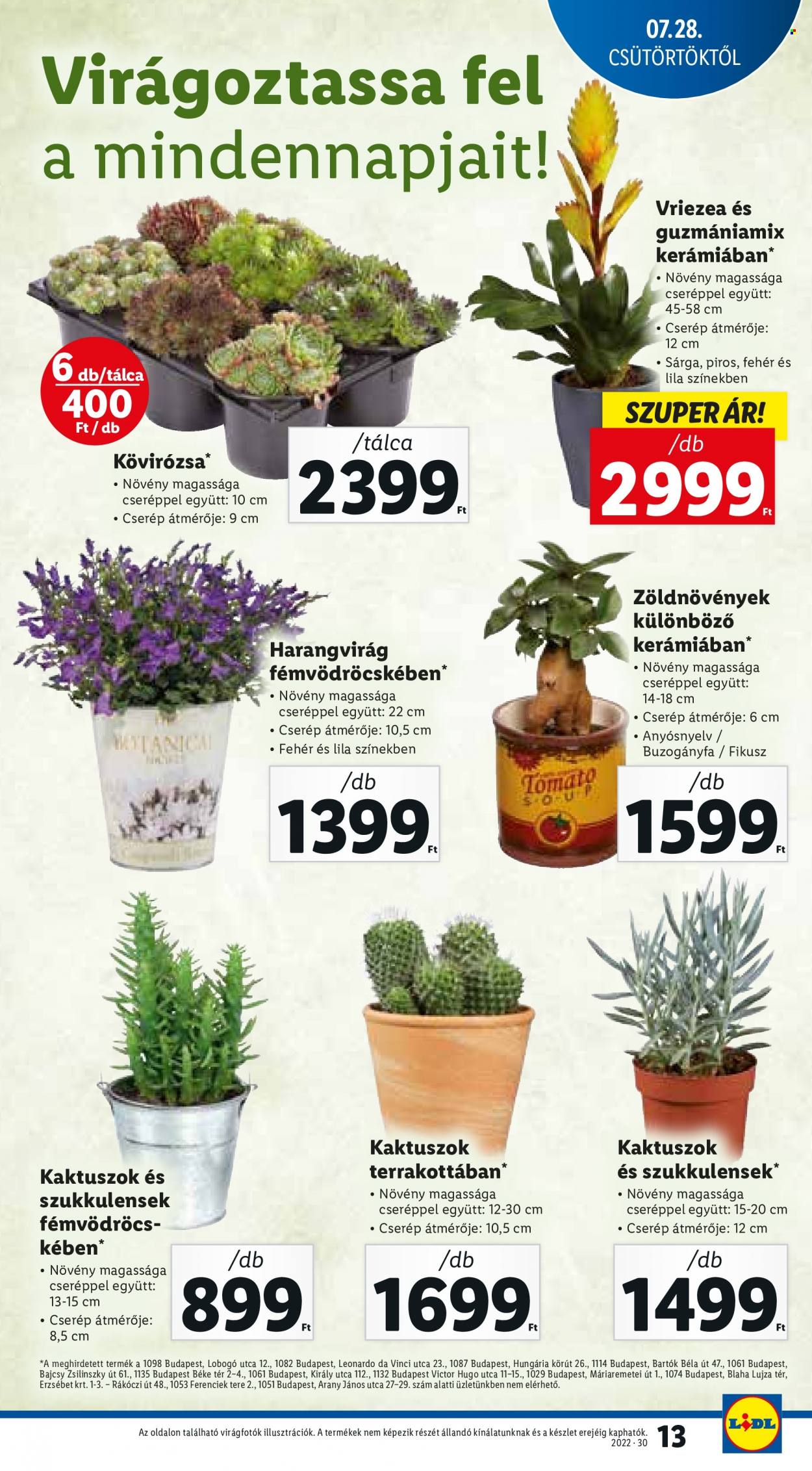 Lidl akciós újságok - 2022.07.28 - 2022.08.03. Oldal 13