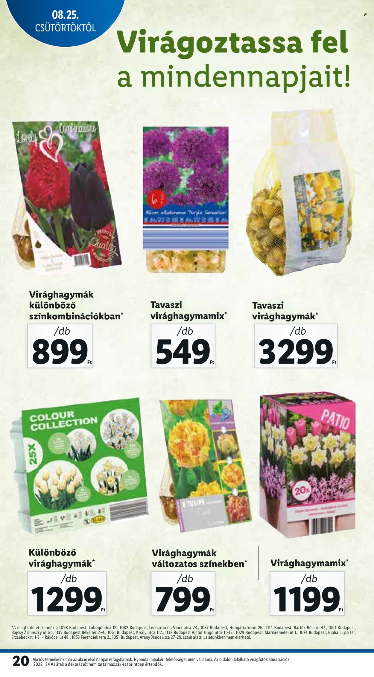 Lidl akciós újságok - 2022.08.25 - 2022.08.31. Oldal 20