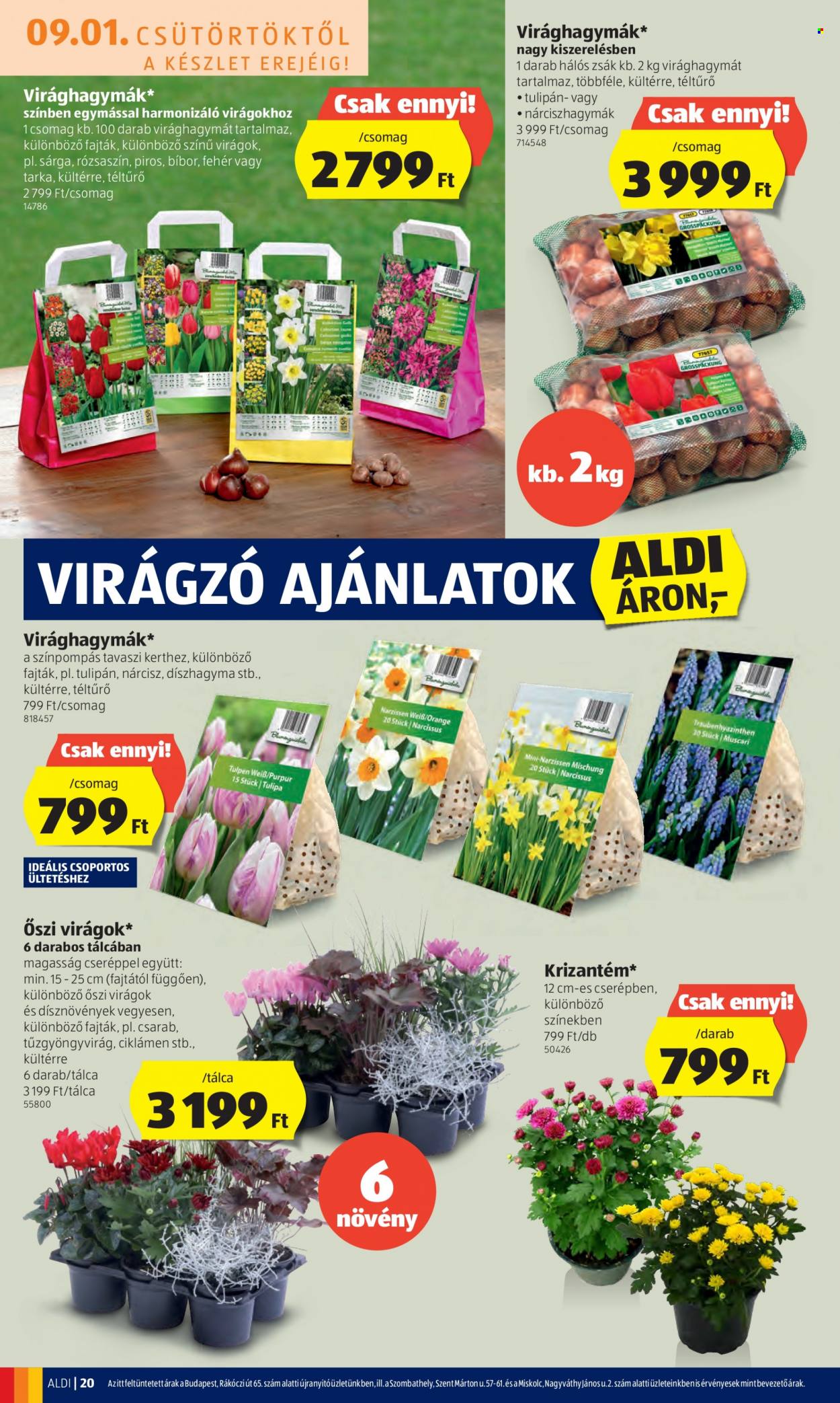 Aldi akciós újságok - 2022.09.01 - 2022.09.07. Oldal 20