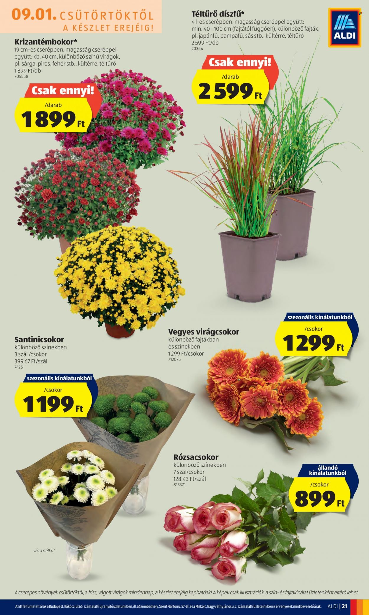 Aldi akciós újságok - 2022.09.01 - 2022.09.07. Oldal 21