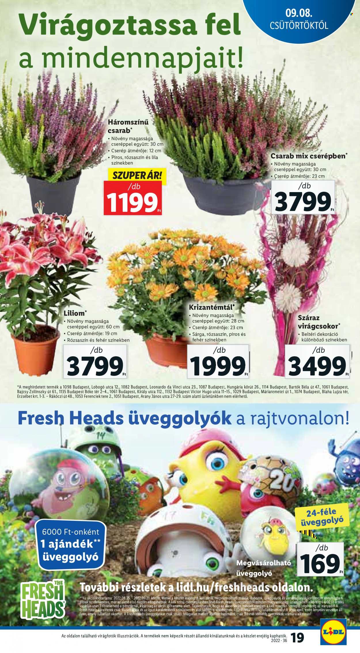 Lidl akciós újságok - 2022.09.08 - 2022.09.14. Oldal 19