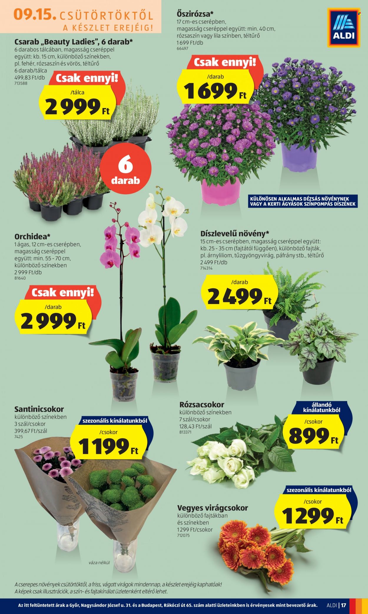 Aldi akciós újságok - 2022.09.15 - 2022.09.21. Oldal 17