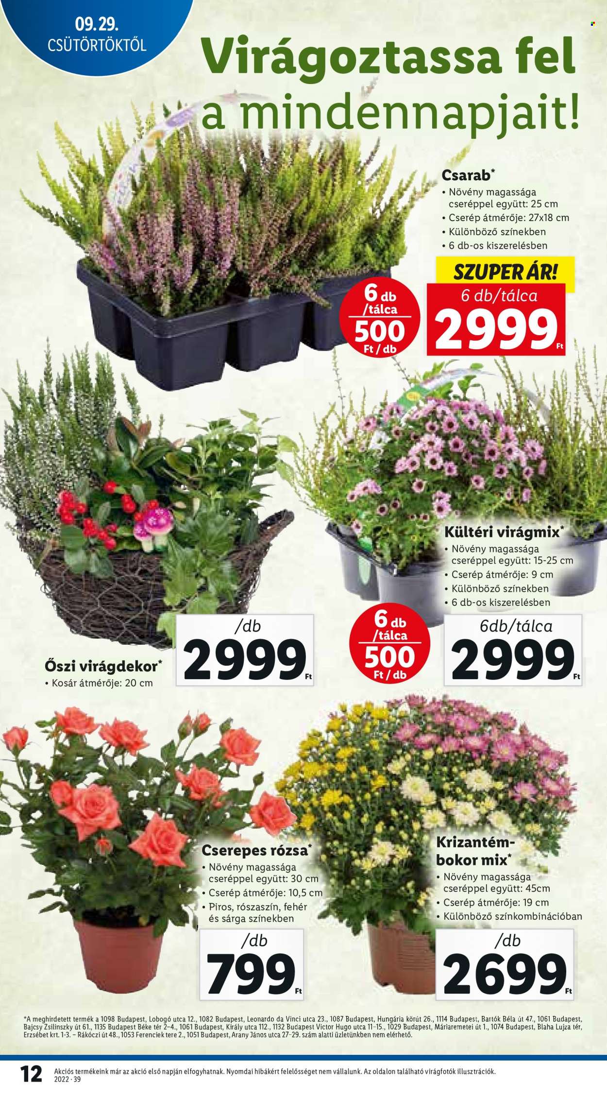 Lidl akciós újságok - 2022.09.29 - 2022.10.05. Oldal 12
