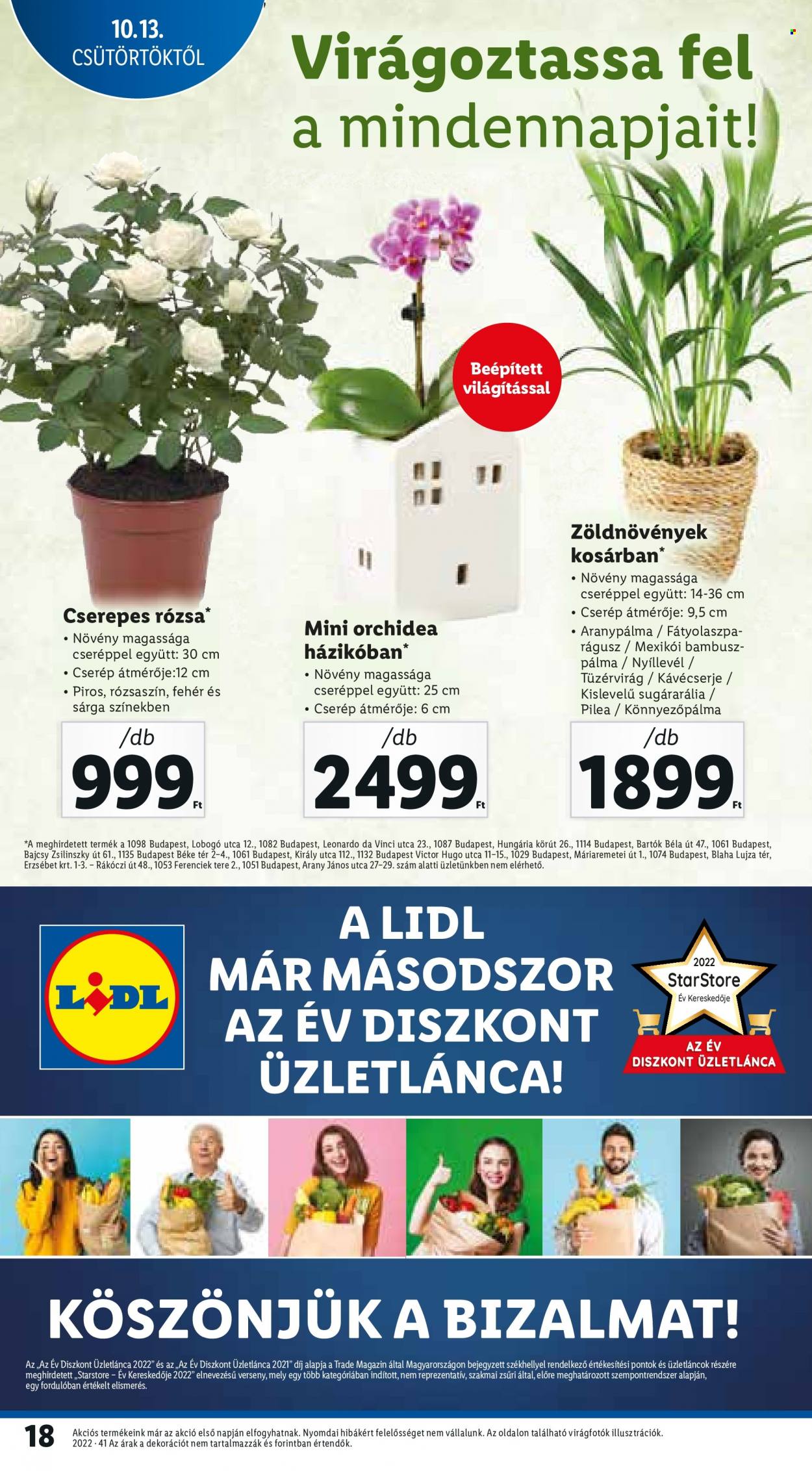 Lidl akciós újságok - 2022.10.13 - 2022.10.19. Oldal 18
