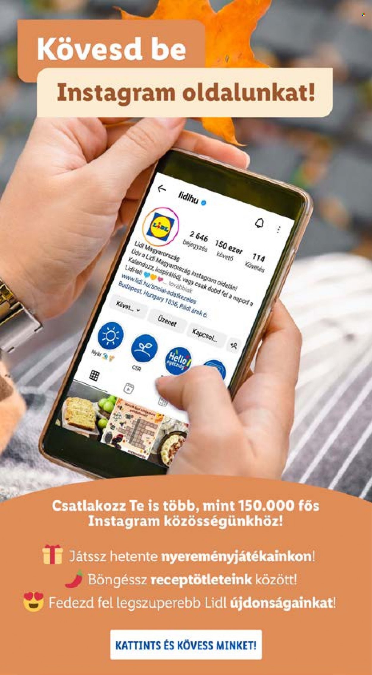 Lidl akciós újságok - 2022.10.13 - 2022.10.19. Oldal 51