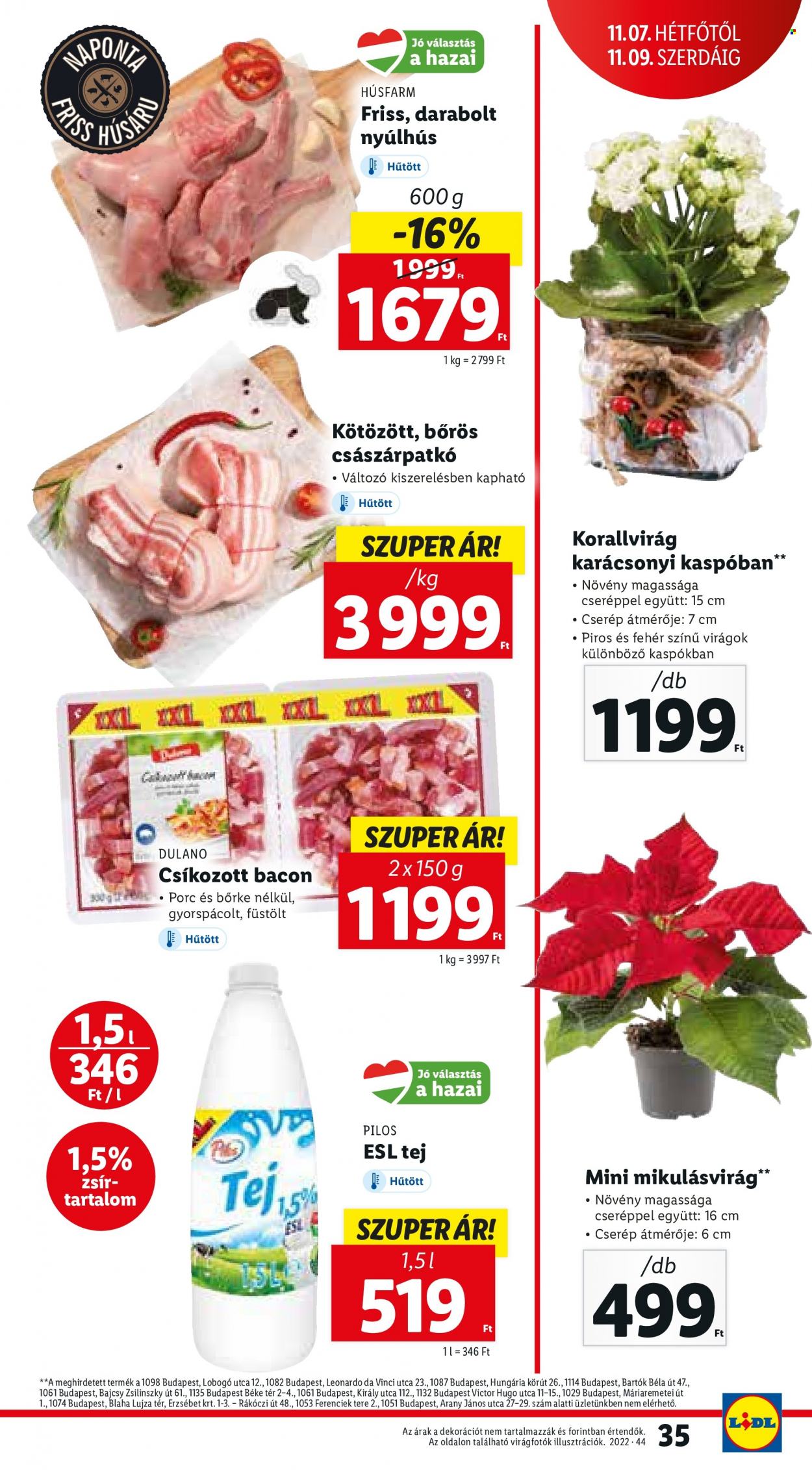 Lidl akciós újságok - 2022.11.03 - 2022.11.09. Oldal 35