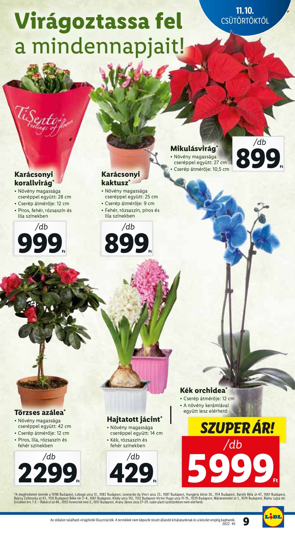 Lidl akciós újságok - 2022.11.10 - 2022.11.16. Oldal 9
