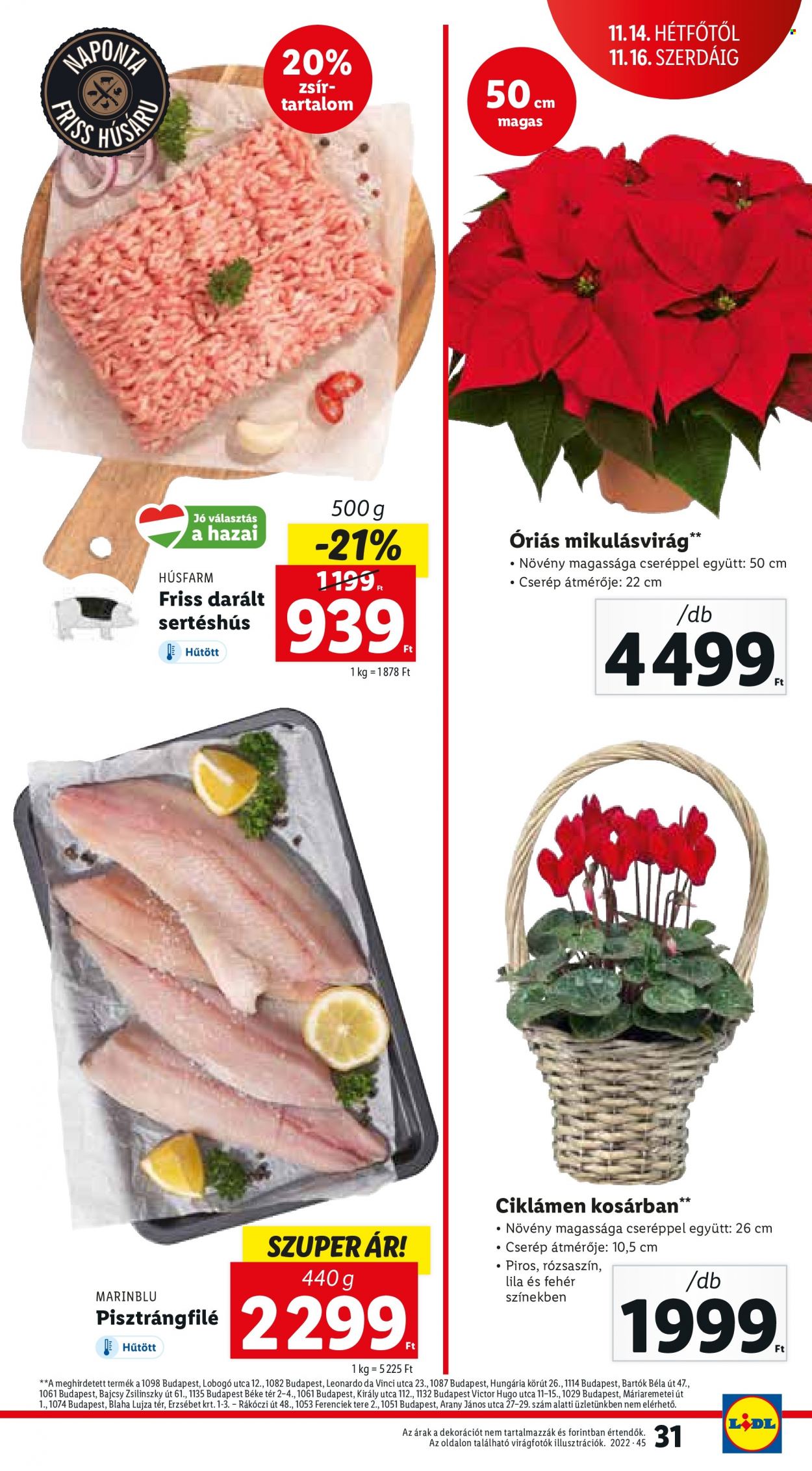 Lidl akciós újságok - 2022.11.10 - 2022.11.16. Oldal 31