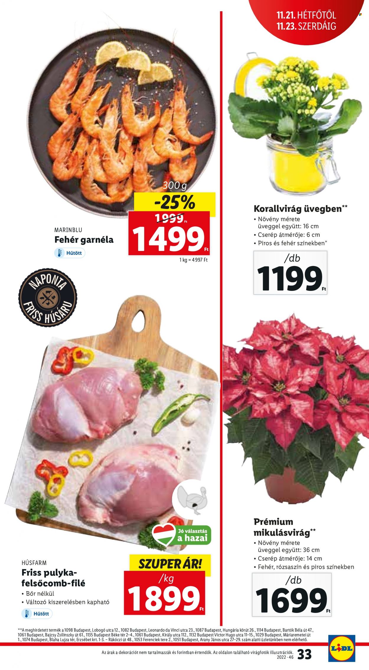 Lidl akciós újságok - 2022.11.17 - 2022.11.23. Oldal 33