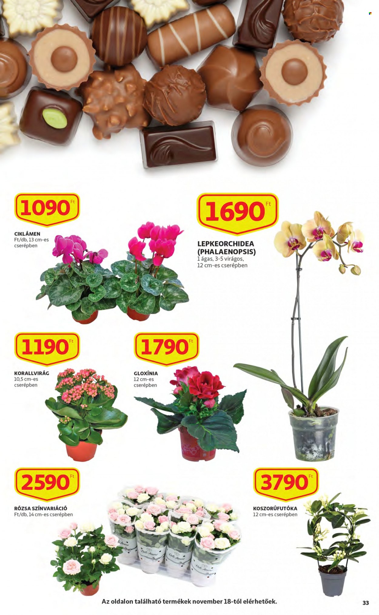 Auchan akciós újságok - 2022.11.17 - 2022.11.23. Oldal 33