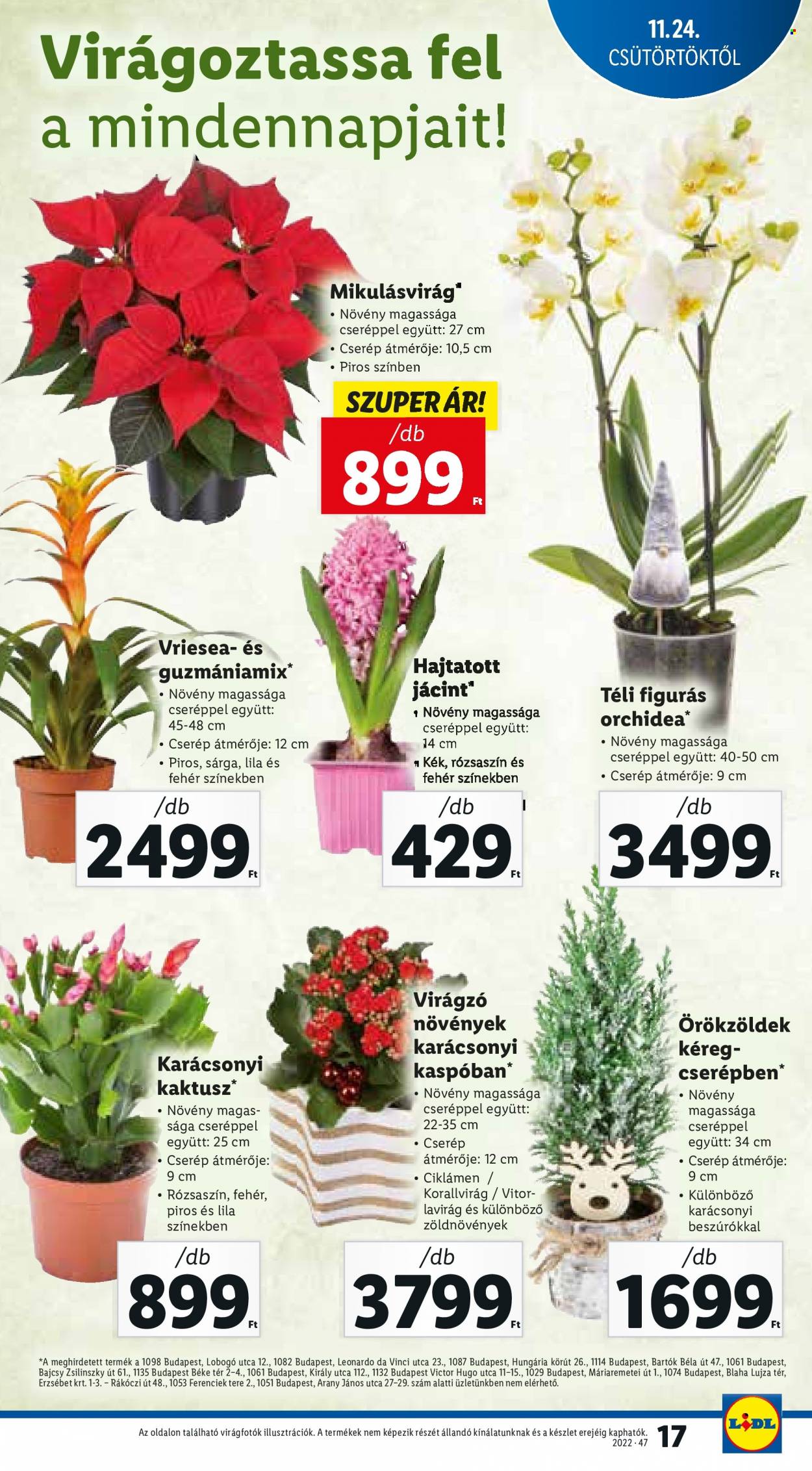 Lidl akciós újságok - 2022.11.24 - 2022.11.30. Oldal 17