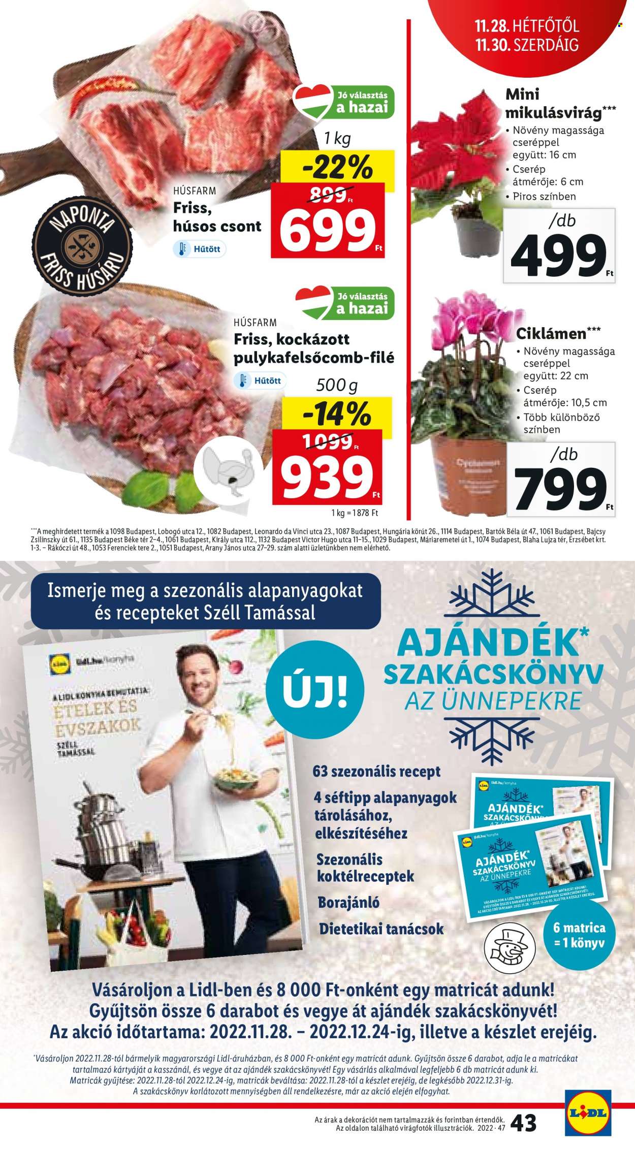Lidl akciós újságok - 2022.11.24 - 2022.11.30. Oldal 43