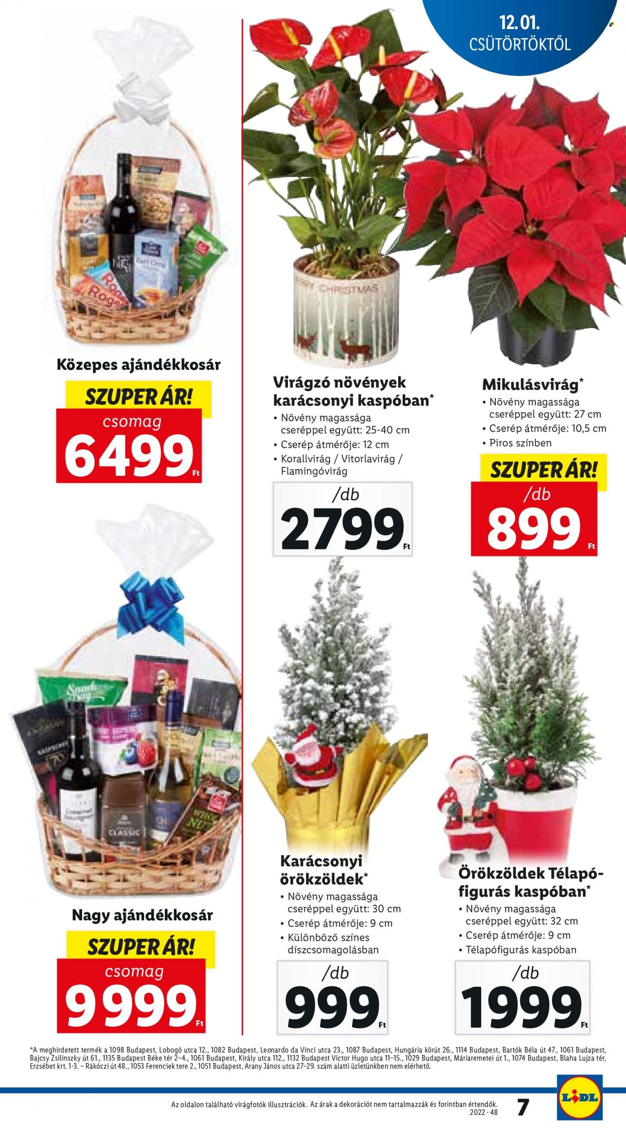 Lidl akciós újságok - 2022.12.01 - 2022.12.07. Oldal 7