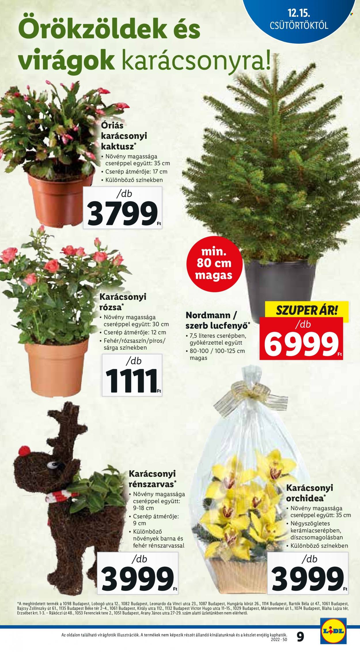 Lidl akciós újságok - 2022.12.15 - 2022.12.21. Oldal 9
