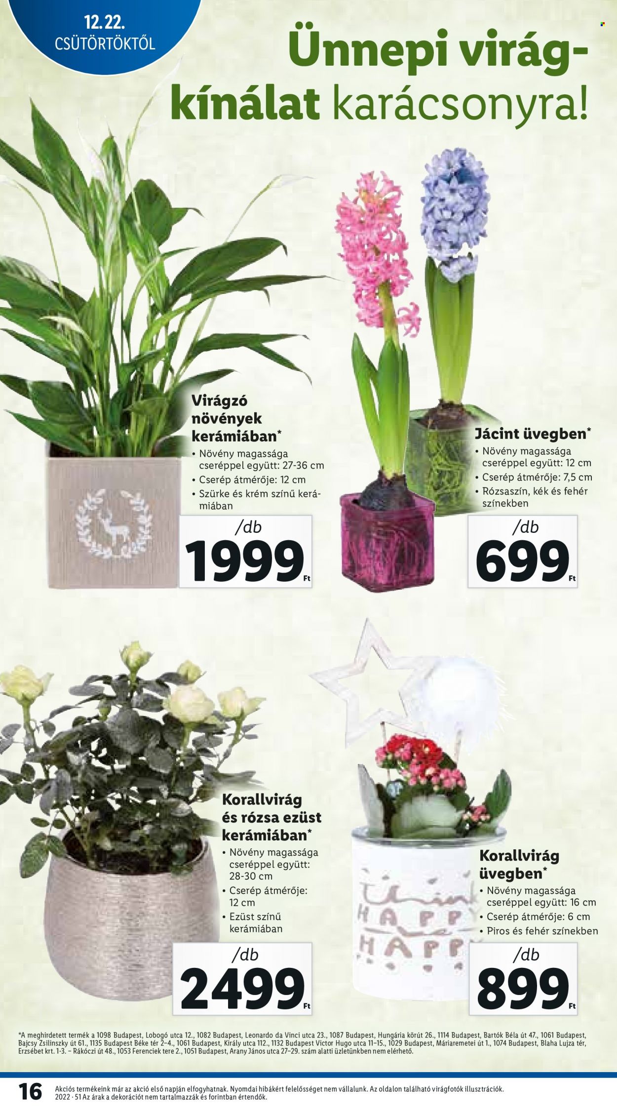 Lidl akciós újságok - 2022.12.22 - 2022.12.28. Oldal 16
