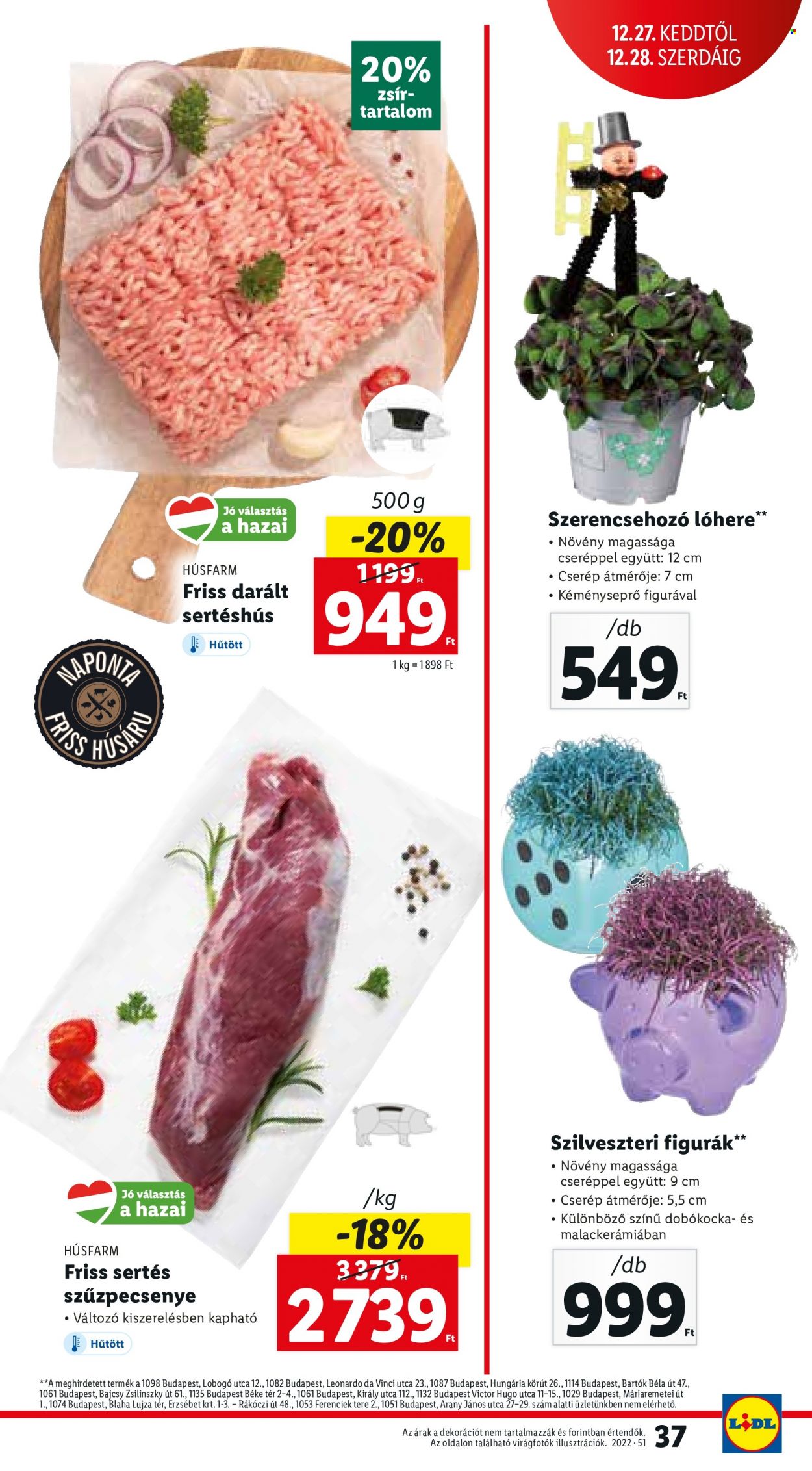 Lidl akciós újságok - 2022.12.22 - 2022.12.28. Oldal 37