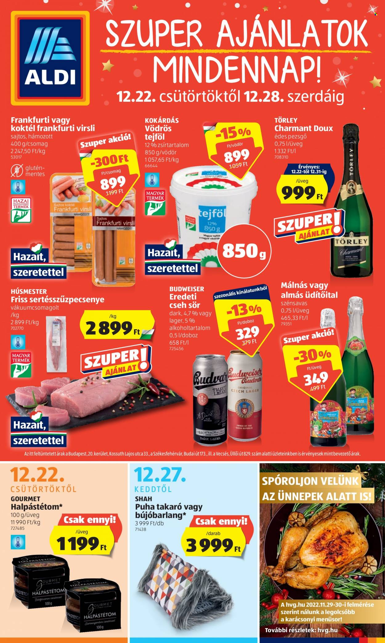 Aldi akciós újságok - 2022.12.22 - 2022.12.28. Oldal 1