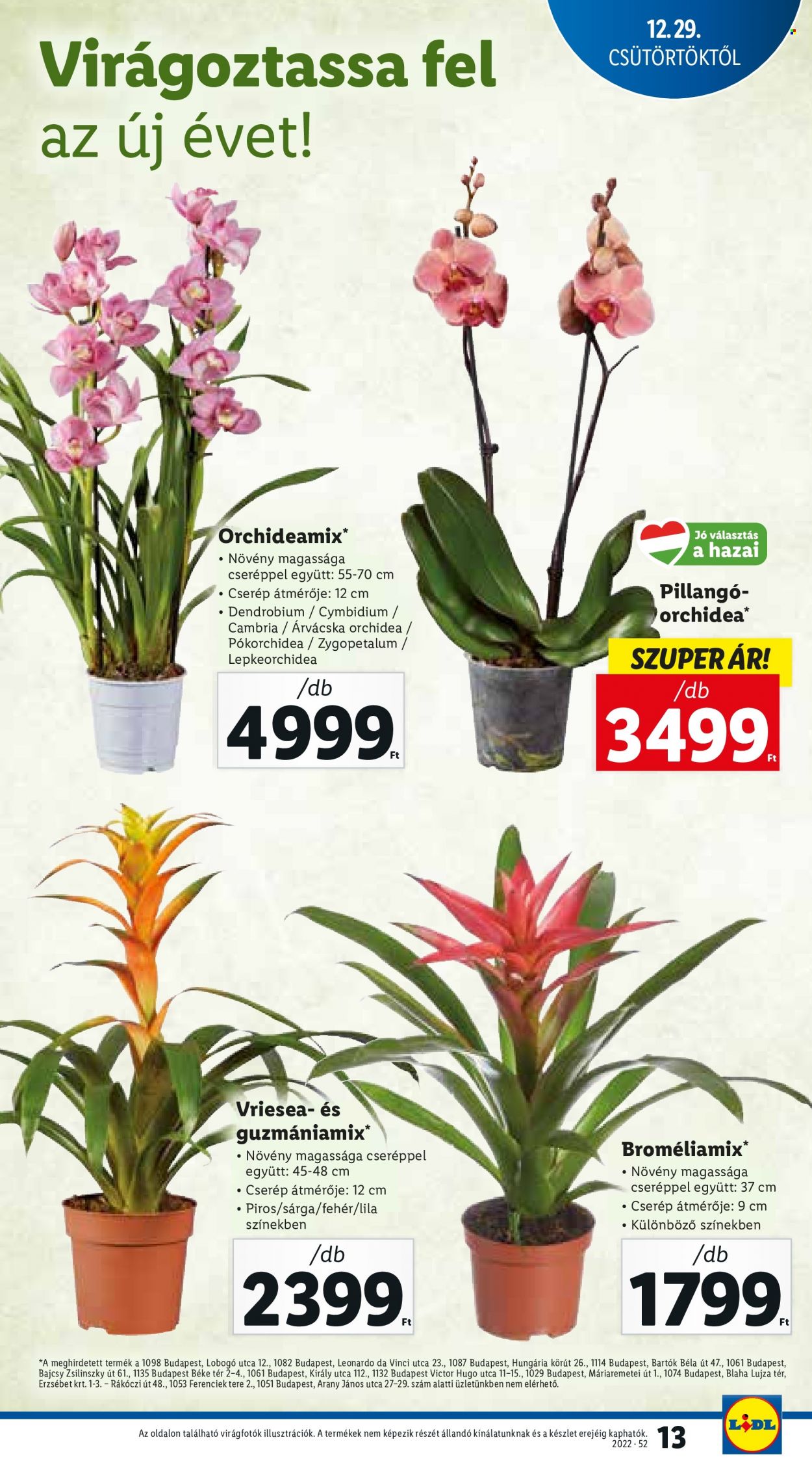 Lidl akciós újságok - 2022.12.29 - 2023.01.04. Oldal 13