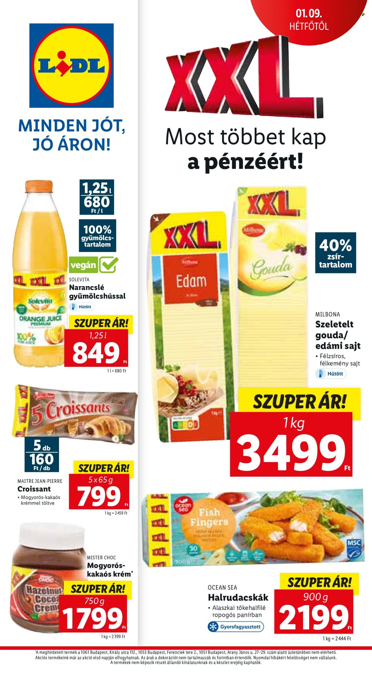 Lidl akciós újságok - 2023.01.05 - 2023.01.11. Oldal 46