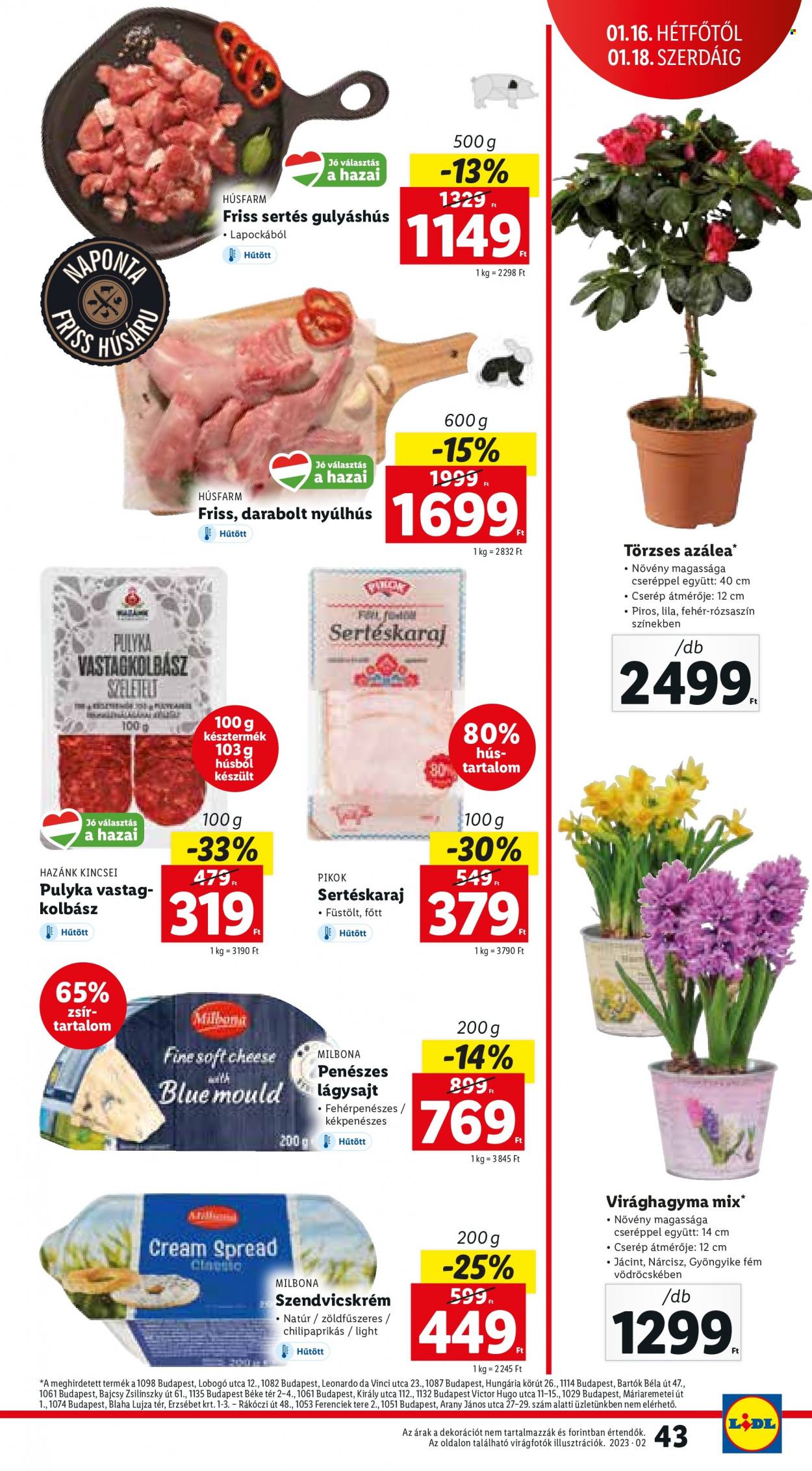 Lidl akciós újságok - 2023.01.12 - 2023.01.18. Oldal 43