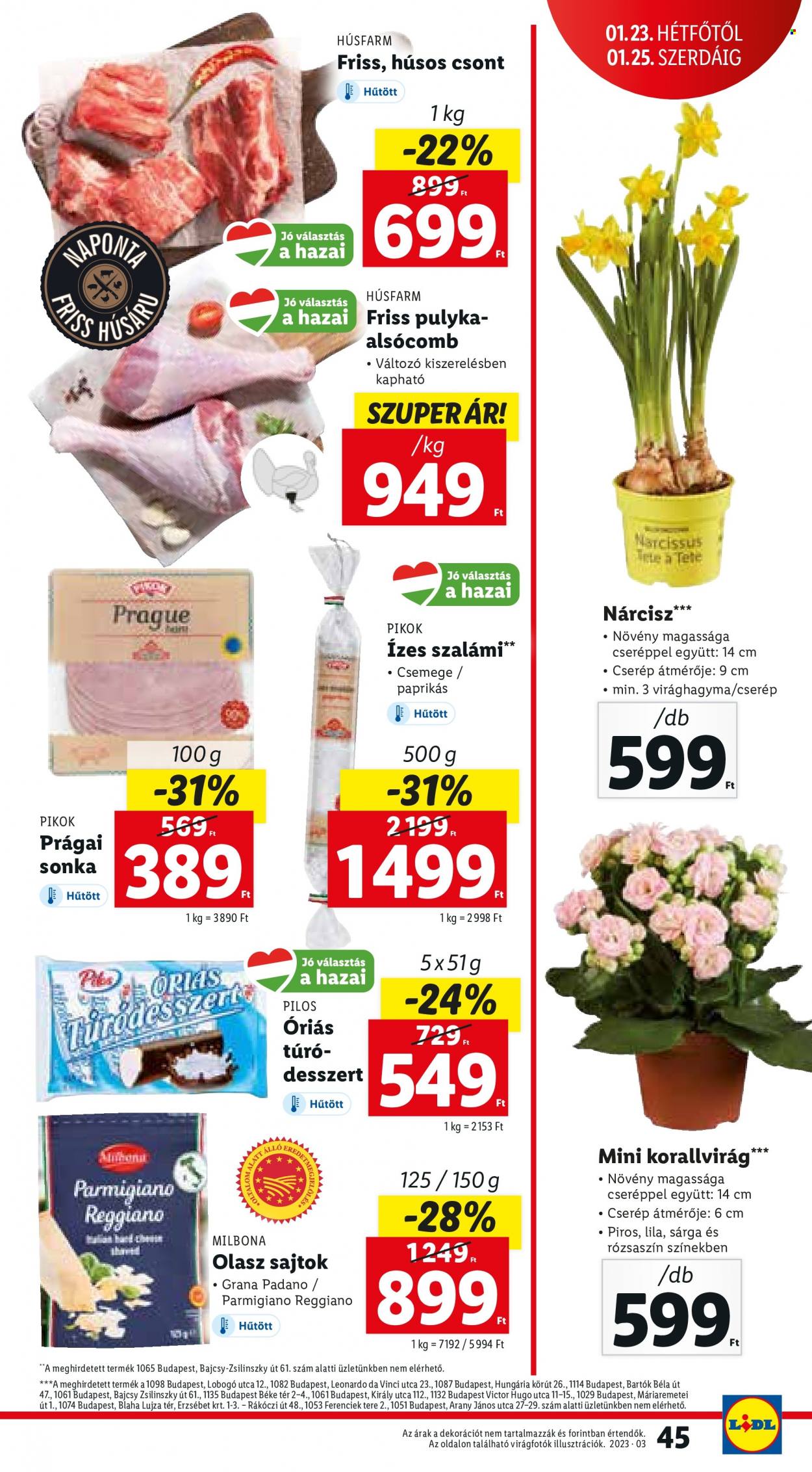 Lidl akciós újságok - 2023.01.19 - 2023.01.25. Oldal 47
