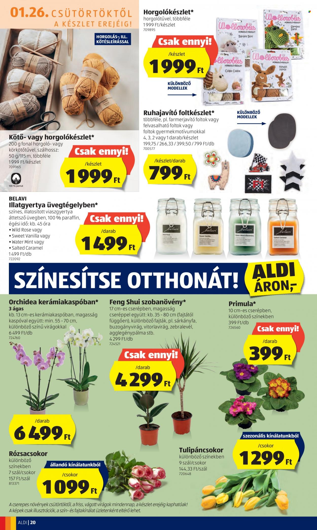 Aldi akciós újságok - 2023.01.26 - 2023.02.01. Oldal 22