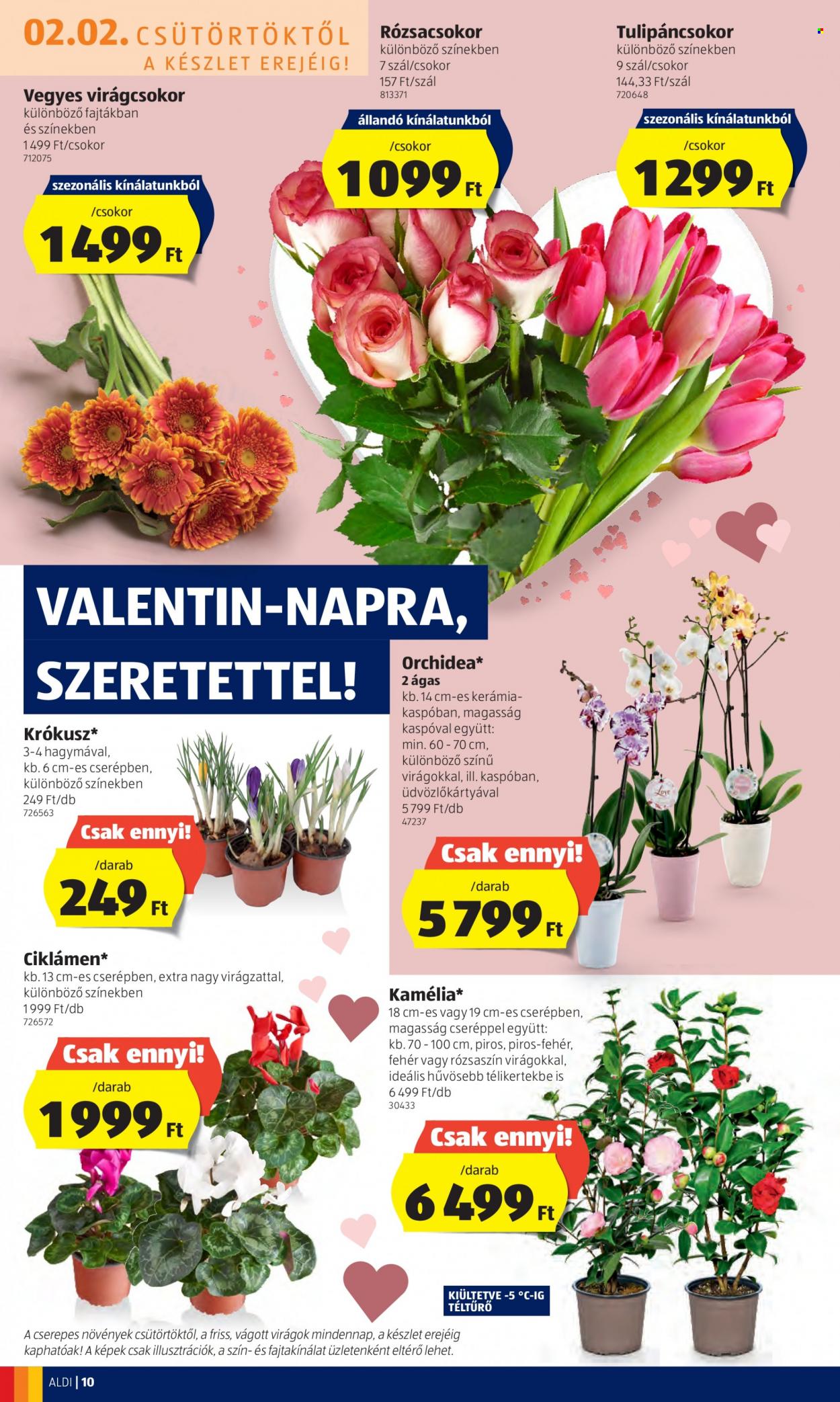 Aldi akciós újságok - 2023.02.02 - 2023.02.08. Oldal 10