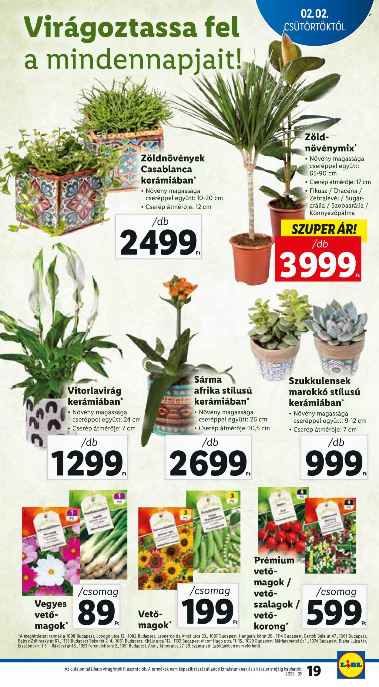Lidl akciós újságok - 2023.02.02 - 2023.02.08. Oldal 19