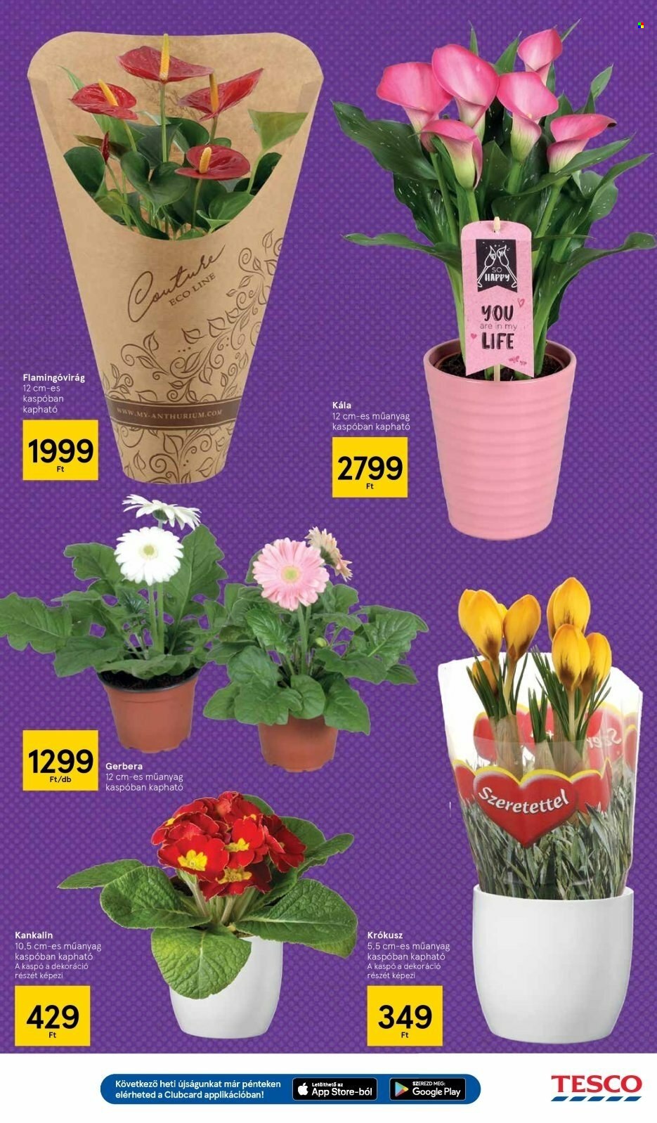 TESCO akciós újságok - 2023.02.09 - 2023.02.15. Oldal 3