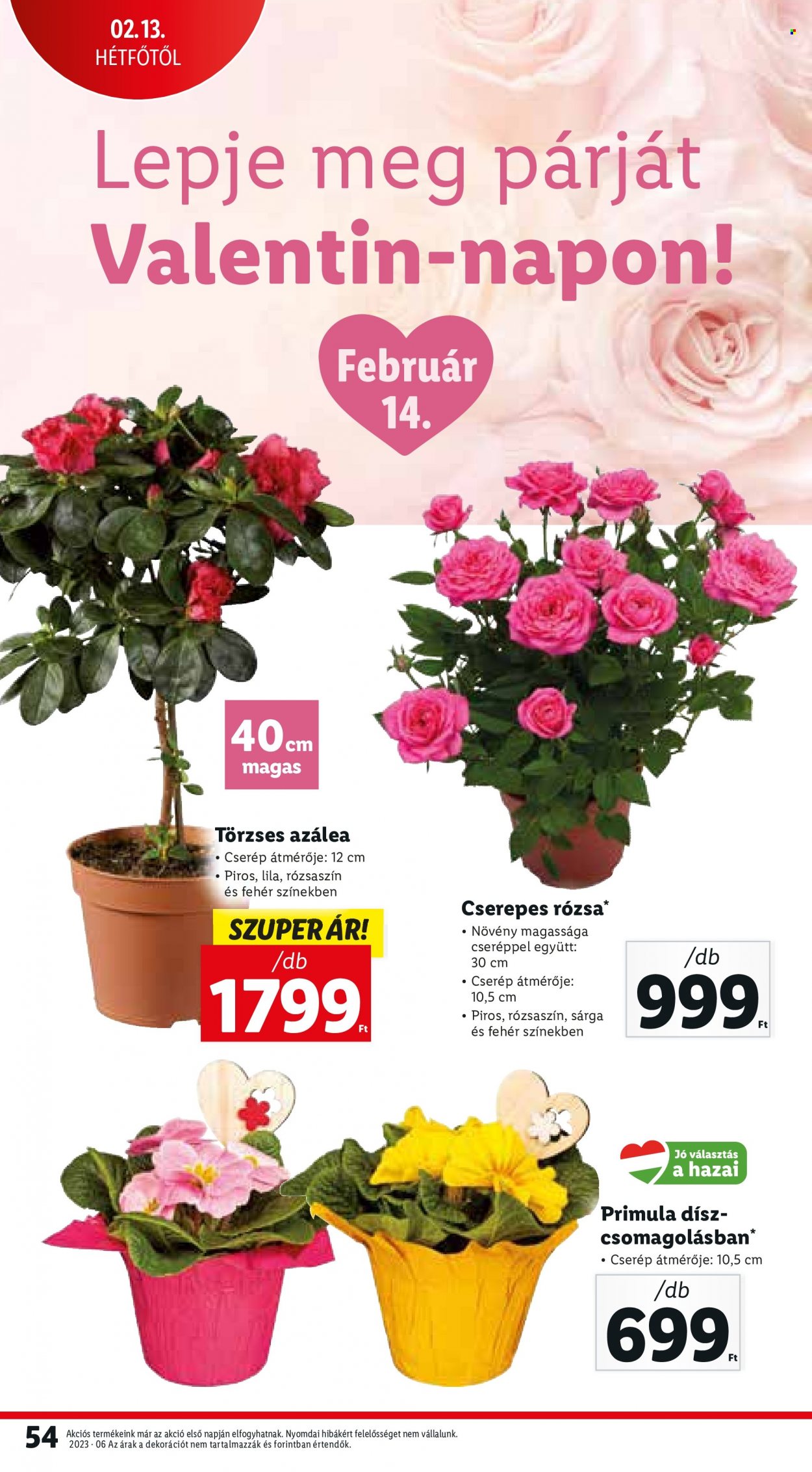 Lidl akciós újságok - 2023.02.09 - 2023.02.15. Oldal 54