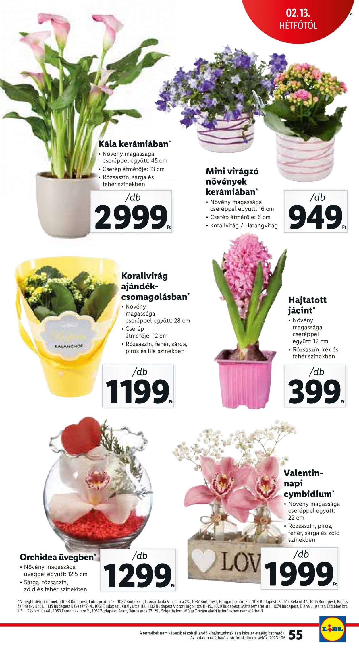 Lidl akciós újságok - 2023.02.09 - 2023.02.15. Oldal 55