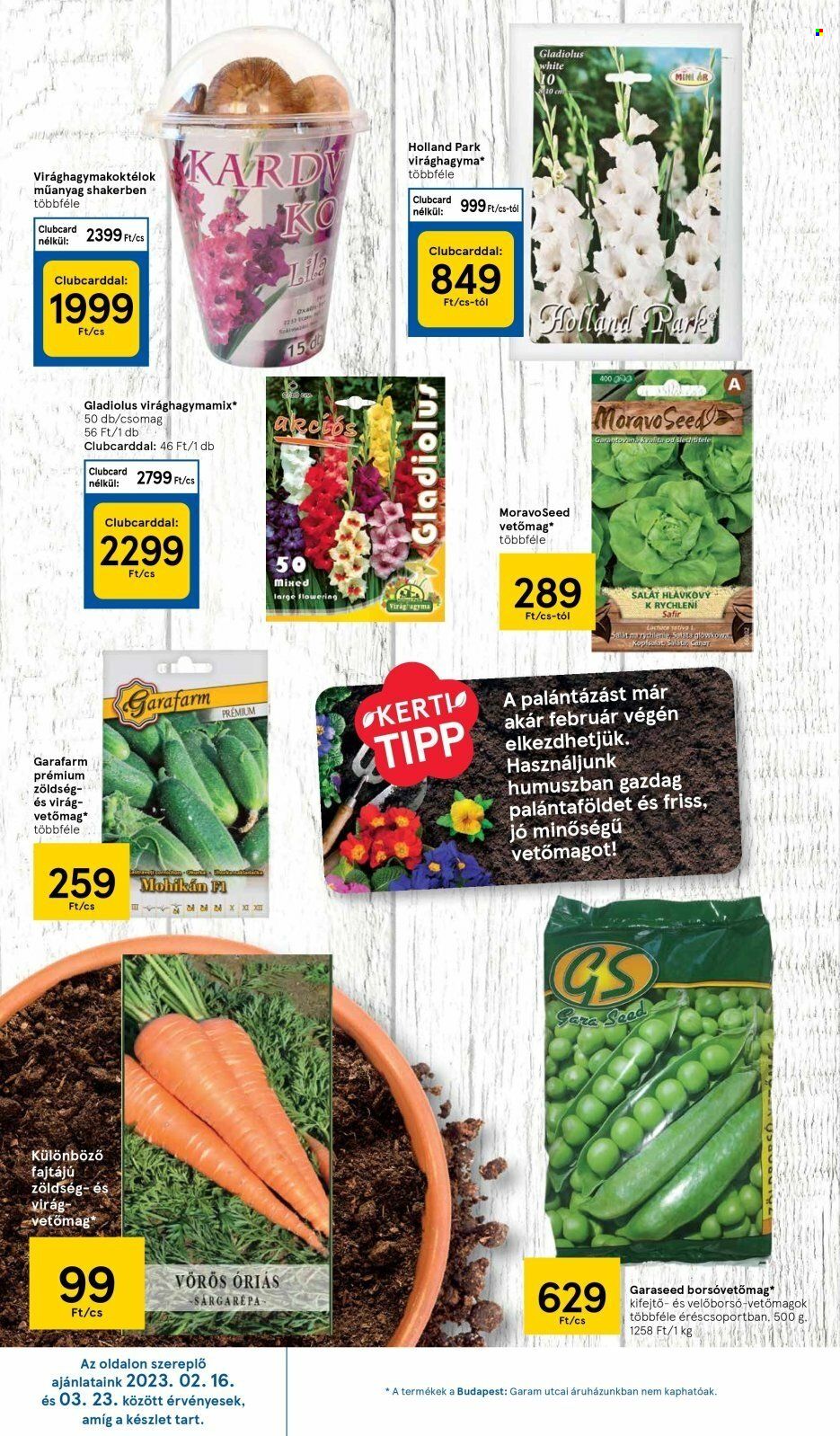 TESCO akciós újságok - 2023.02.16 - 2023.02.22. Oldal 26