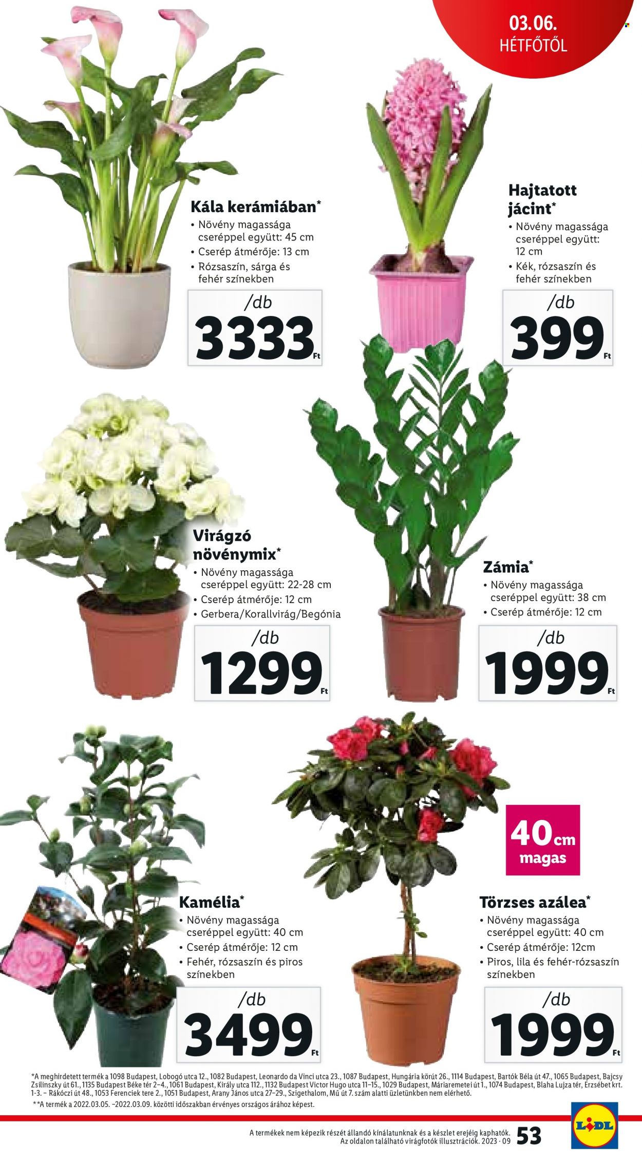 Lidl akciós újságok - 2023.03.02 - 2023.03.08. Oldal 53