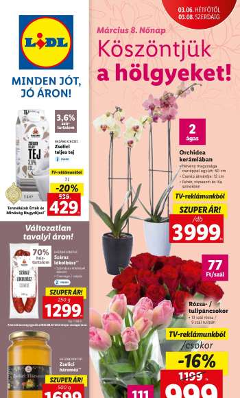 Akciós újság {store}