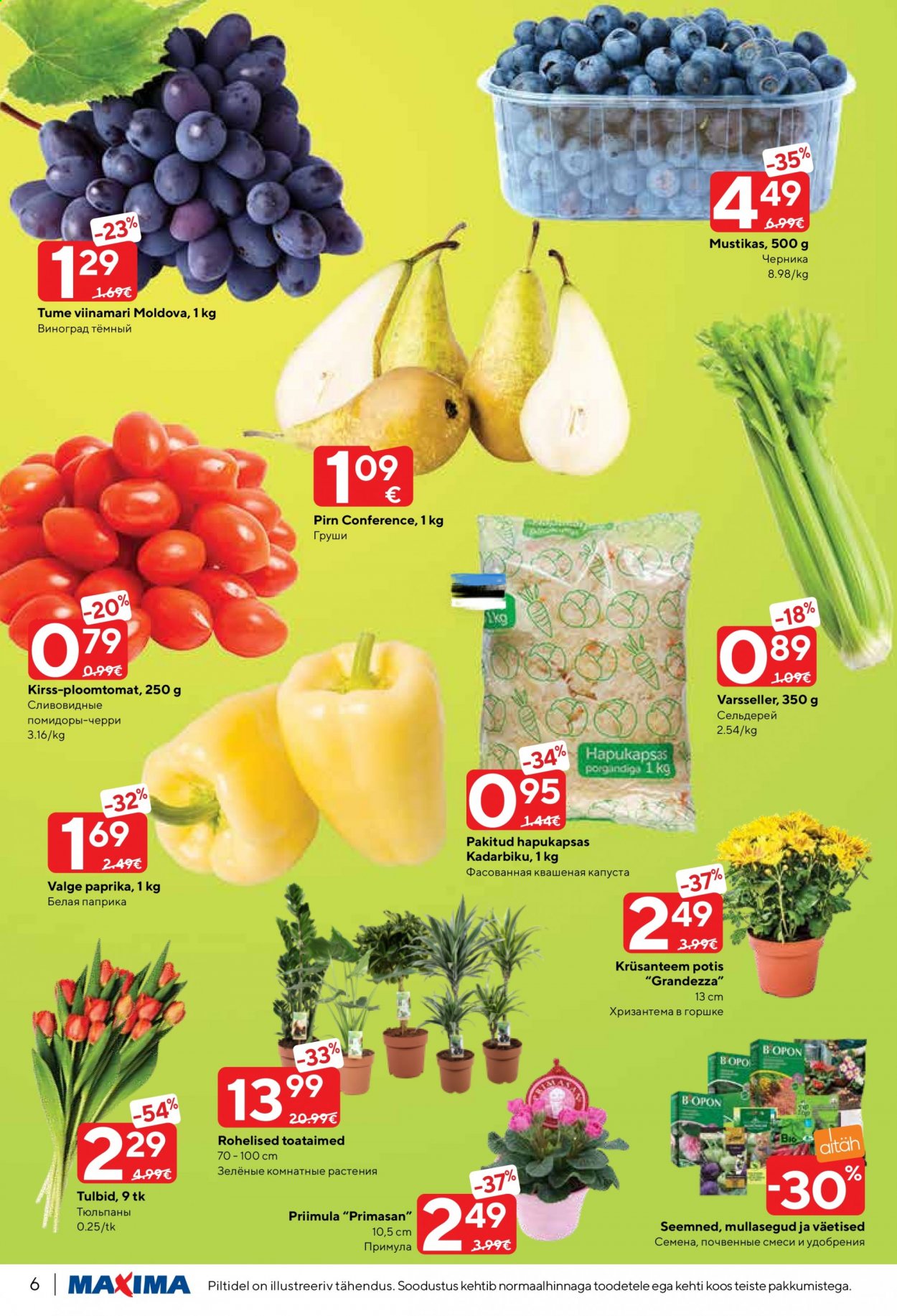Maxima kliendileht - 26.01.2021 - 01.02.2021. Lehekülg 6