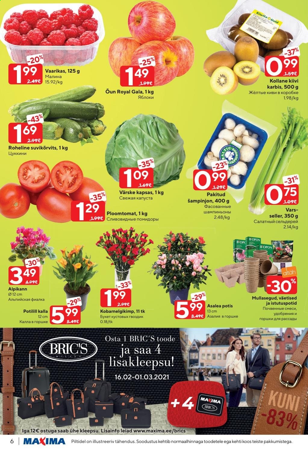 Maxima kliendileht - 16.02.2021 - 22.02.2021. Lehekülg 6