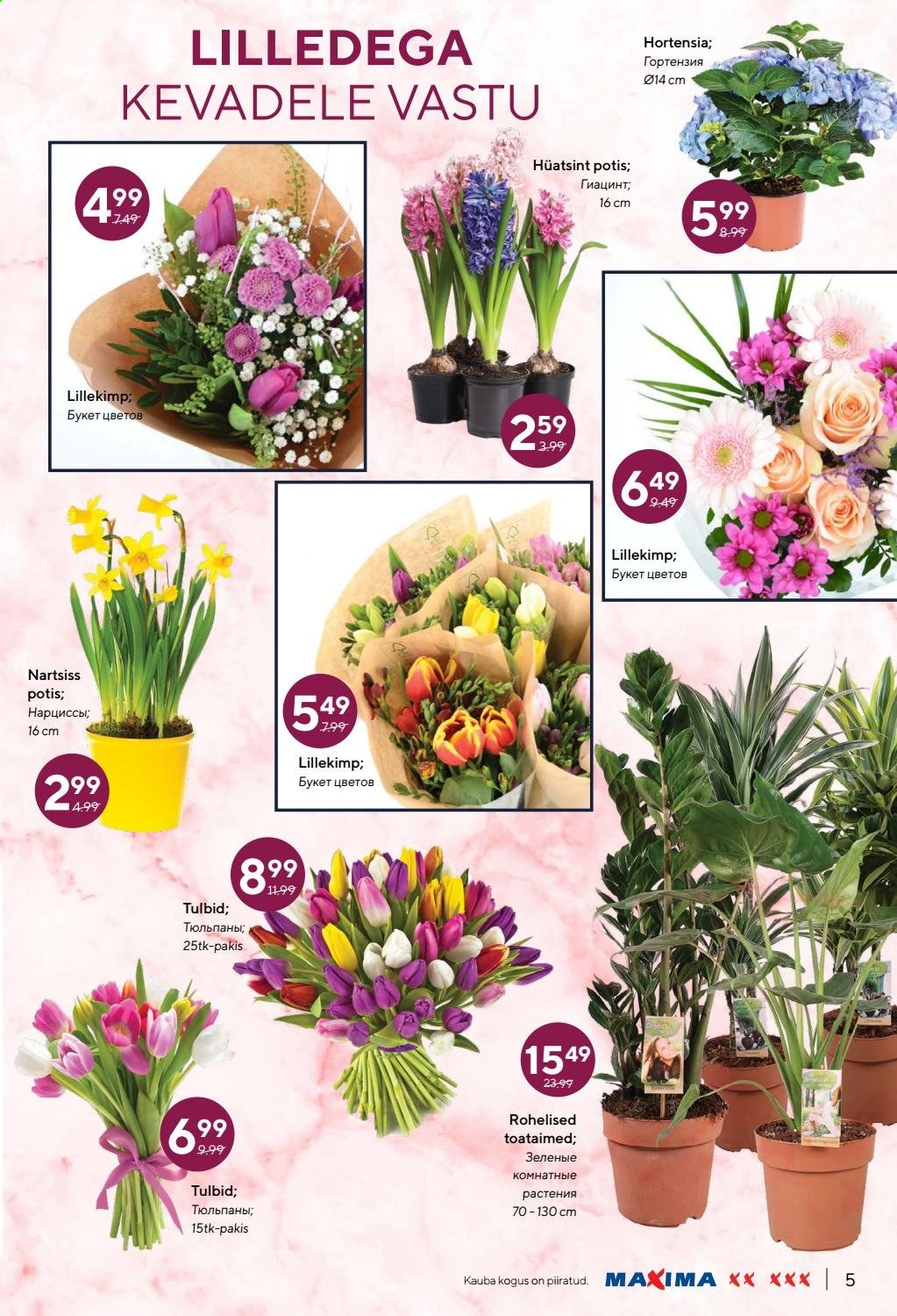 Maxima kliendileht - 04.03.2021 - 24.03.2021. Lehekülg 5