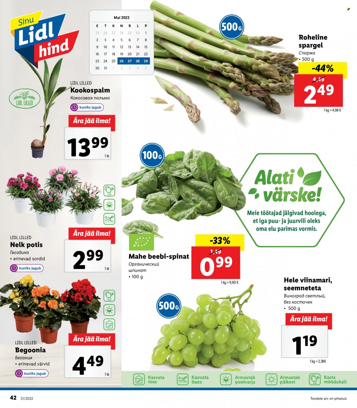 Lidl kliendileht - 23.05.2022 - 29.05.2022. Lehekülg 42