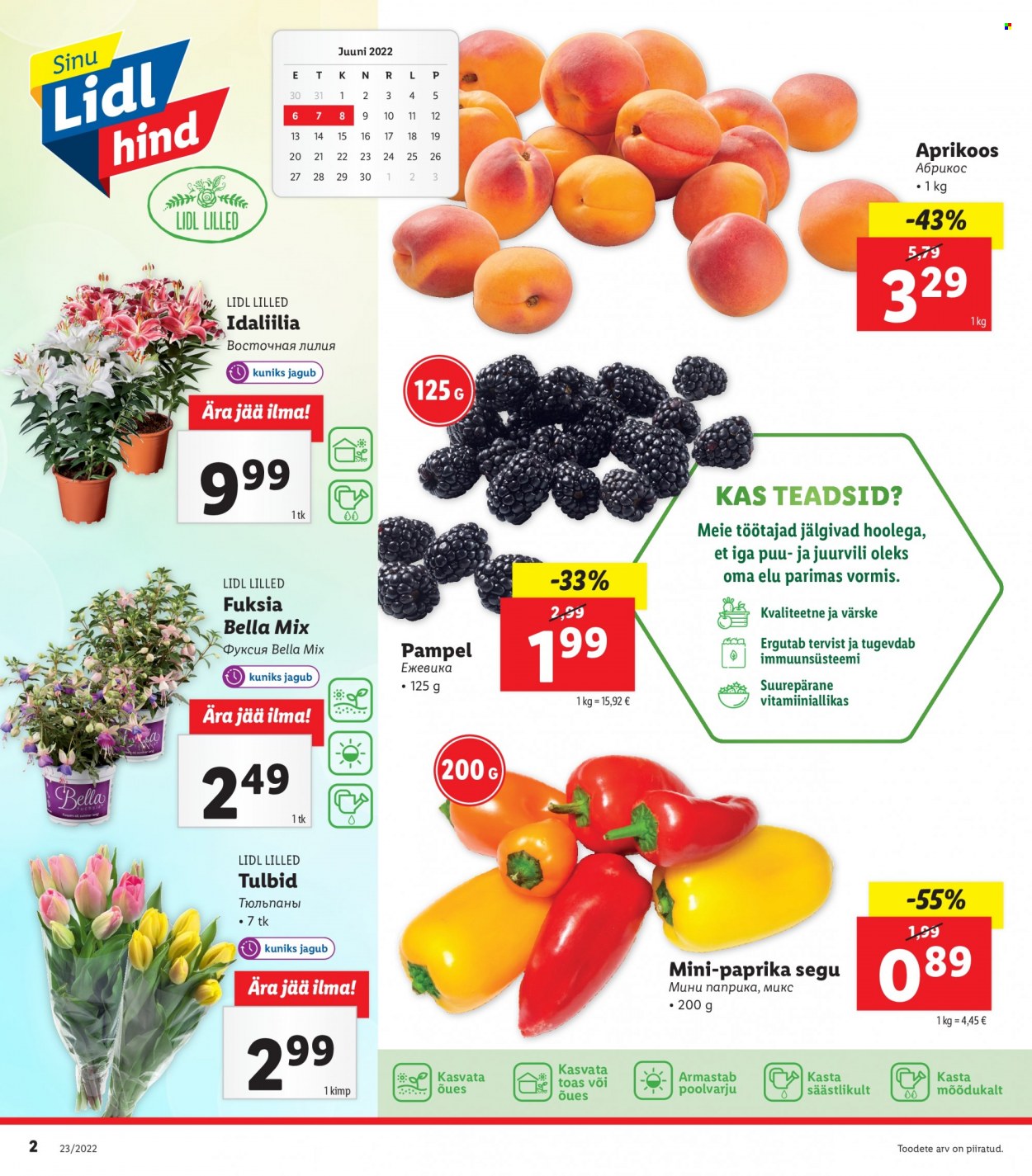 Lidl kliendileht - 06.06.2022 - 12.06.2022. Lehekülg 2